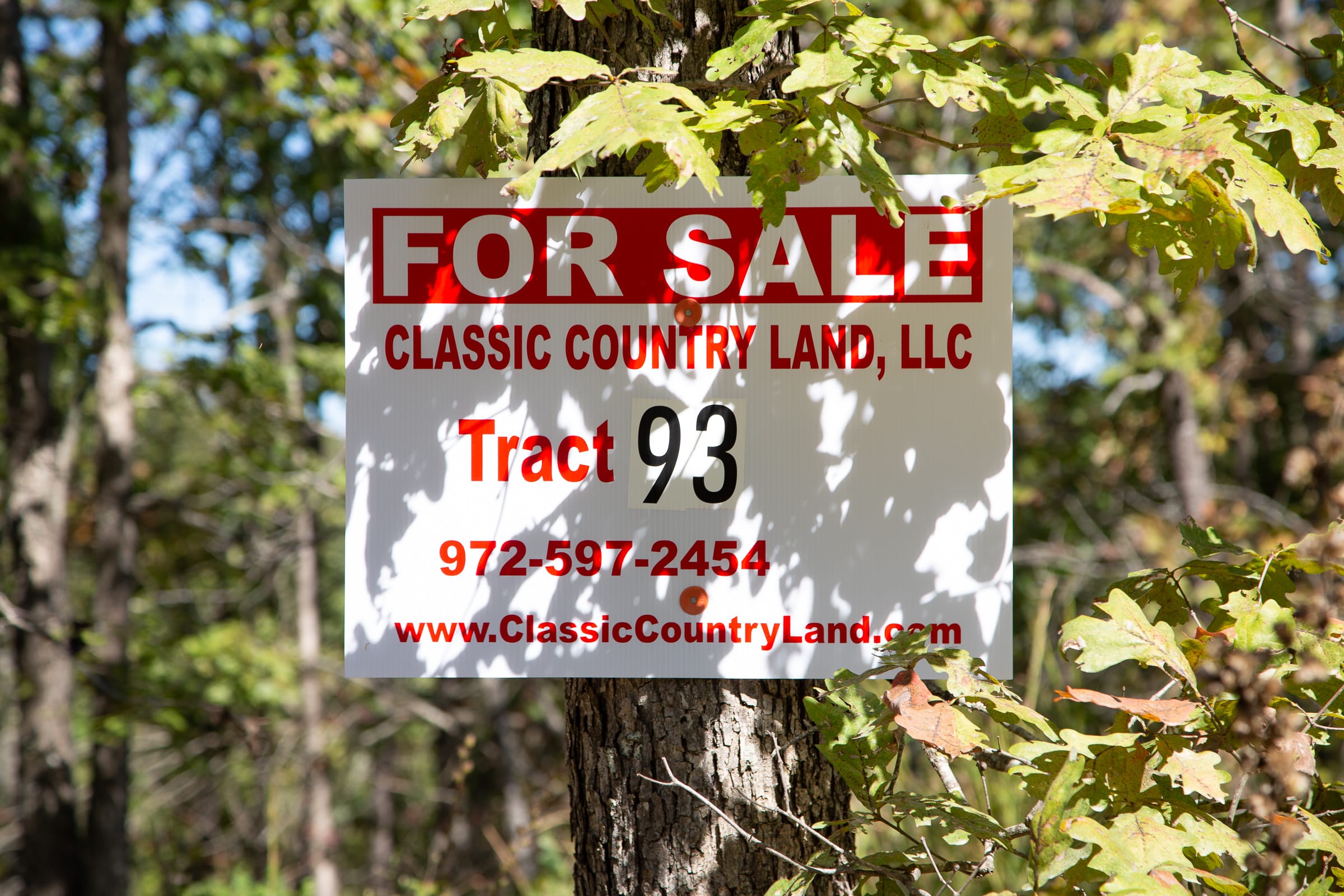 Borgmann’s Hollow Phase III Tract 93 photo 1