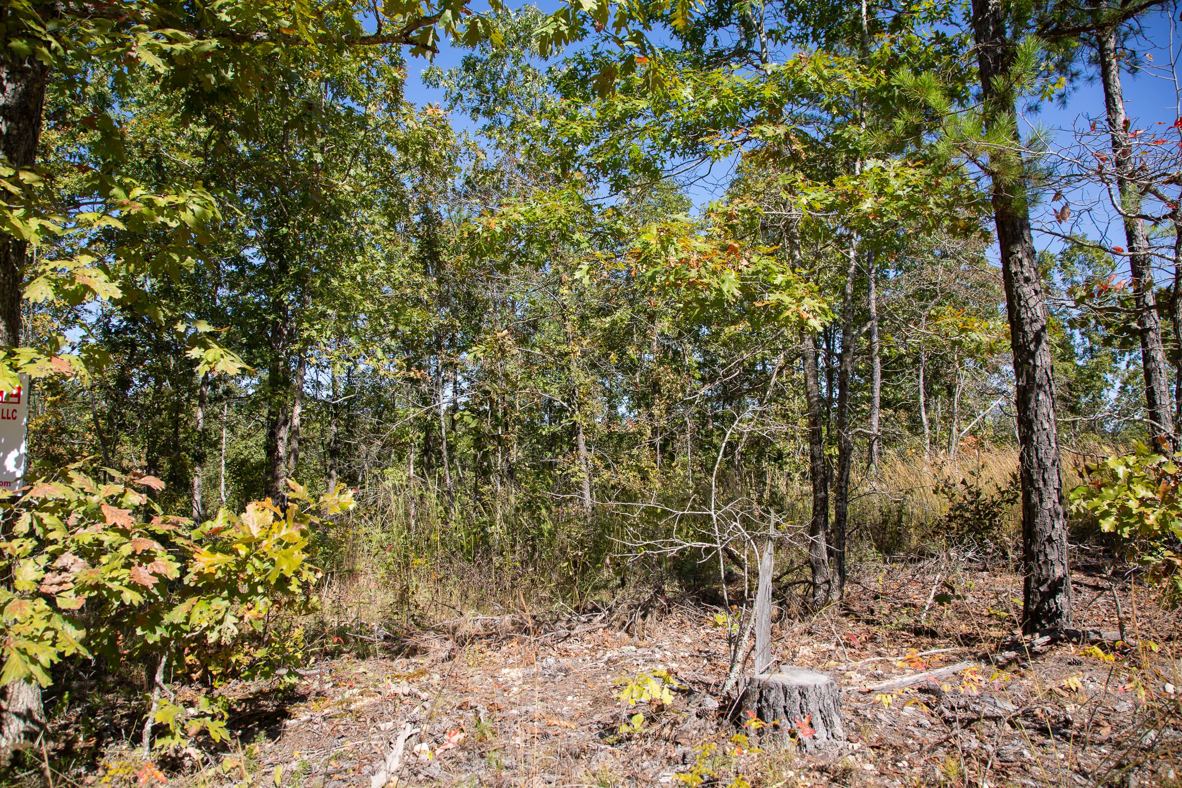 Borgmann’s Hollow Phase III Tract 93 photo 13