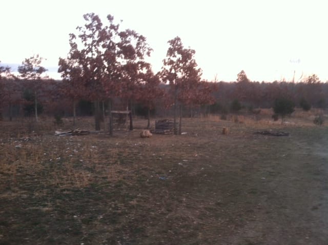 Ranches Of Montauk Park Tract 10 photo 14