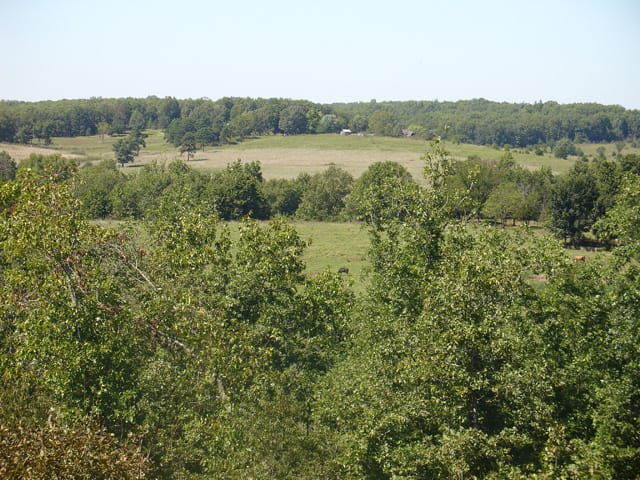 Ranches Of Montauk Park Tract 10 photo 22