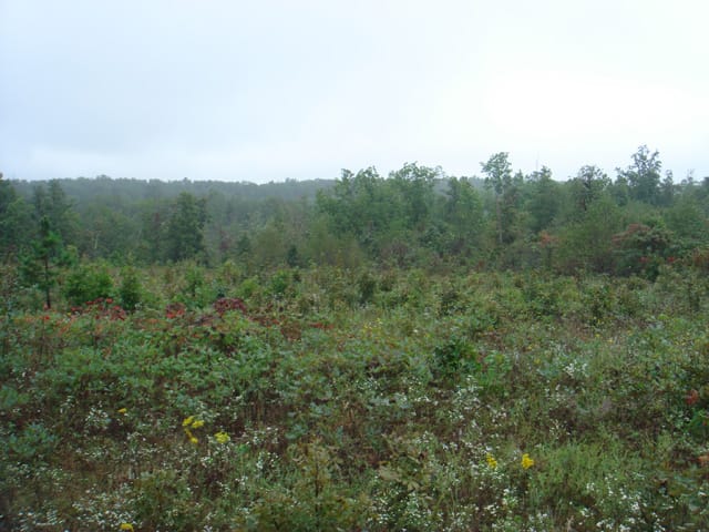 Ranches Of Montauk Park Tract 10 photo 26