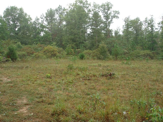 Ranches Of Montauk Park Tract 10 photo 28