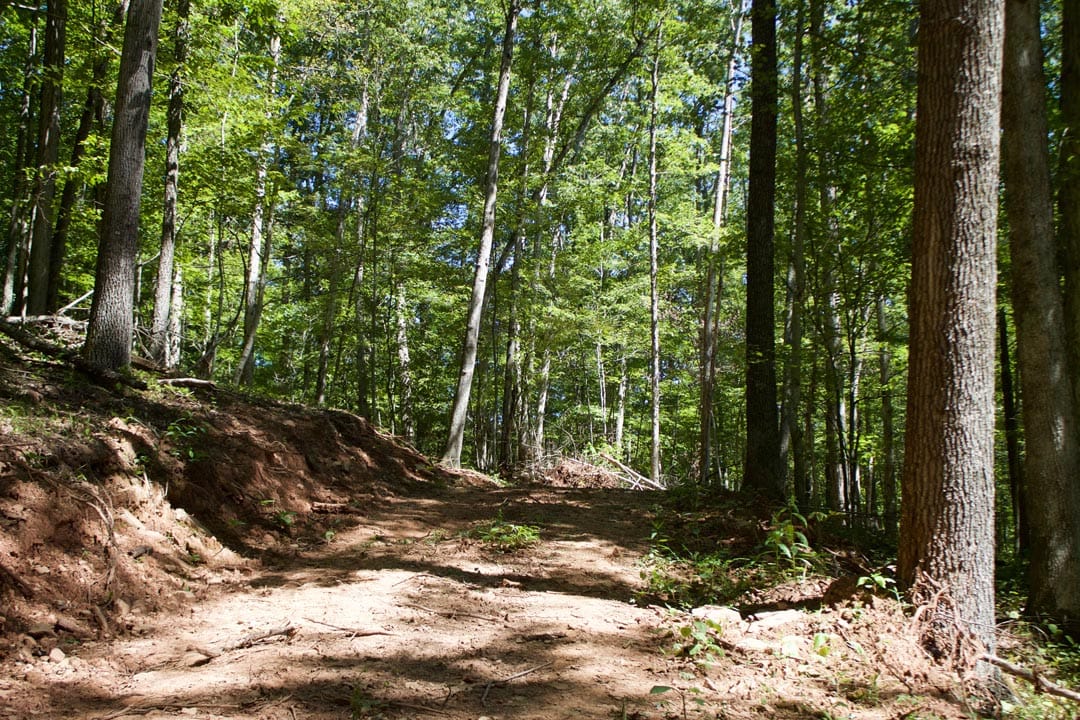 Heritage Hollow Tract 21 photo 2