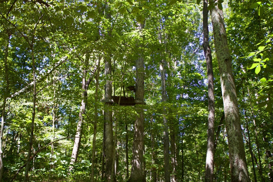 Heritage Hollow Tract 21 photo 3