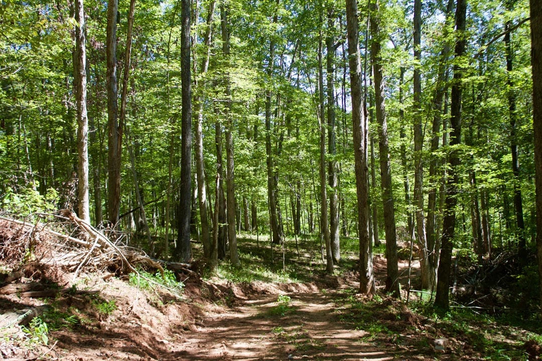 Heritage Hollow Tract 21 photo 13