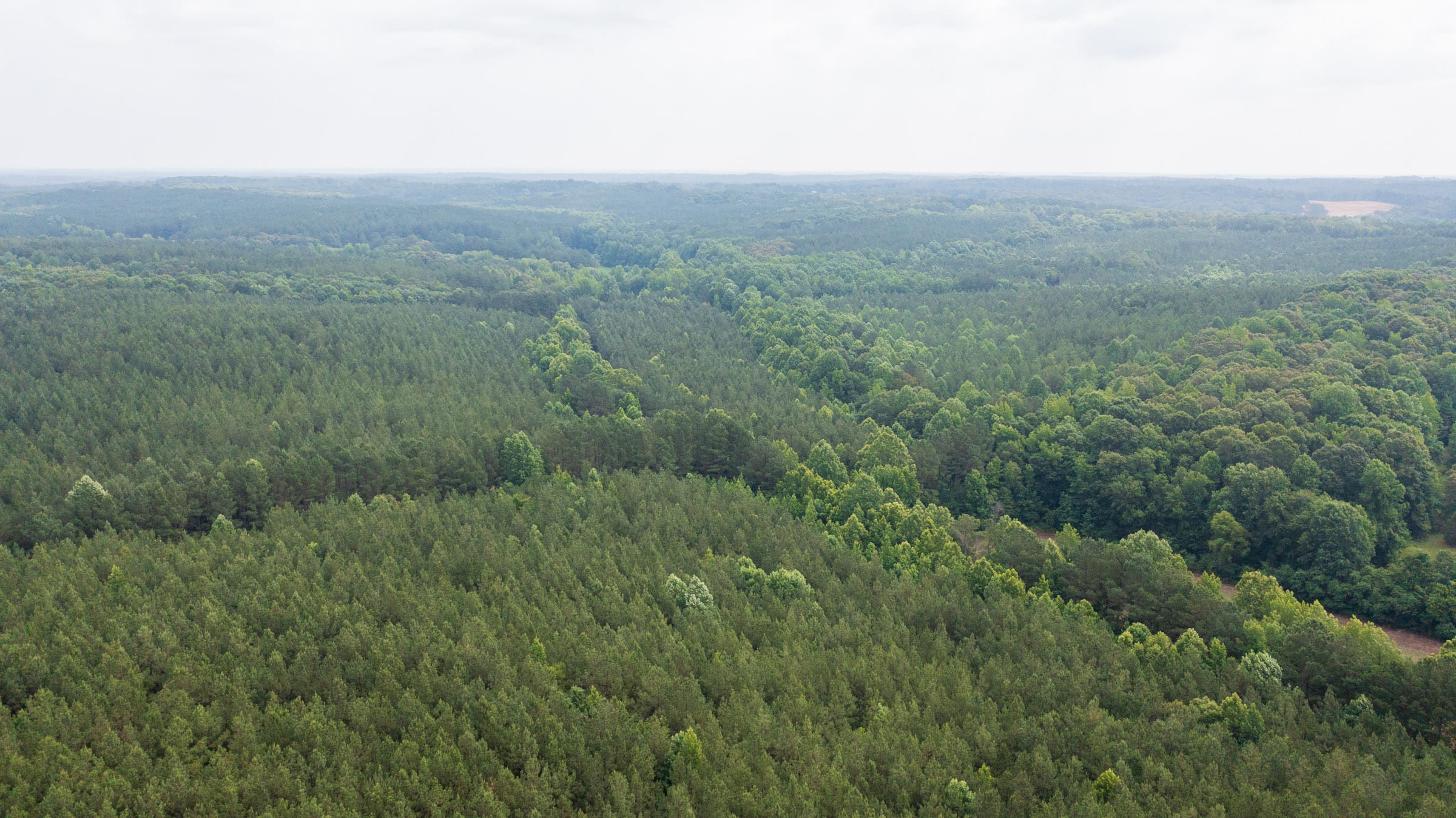 Whiskey Ridge Tract 26 photo 12
