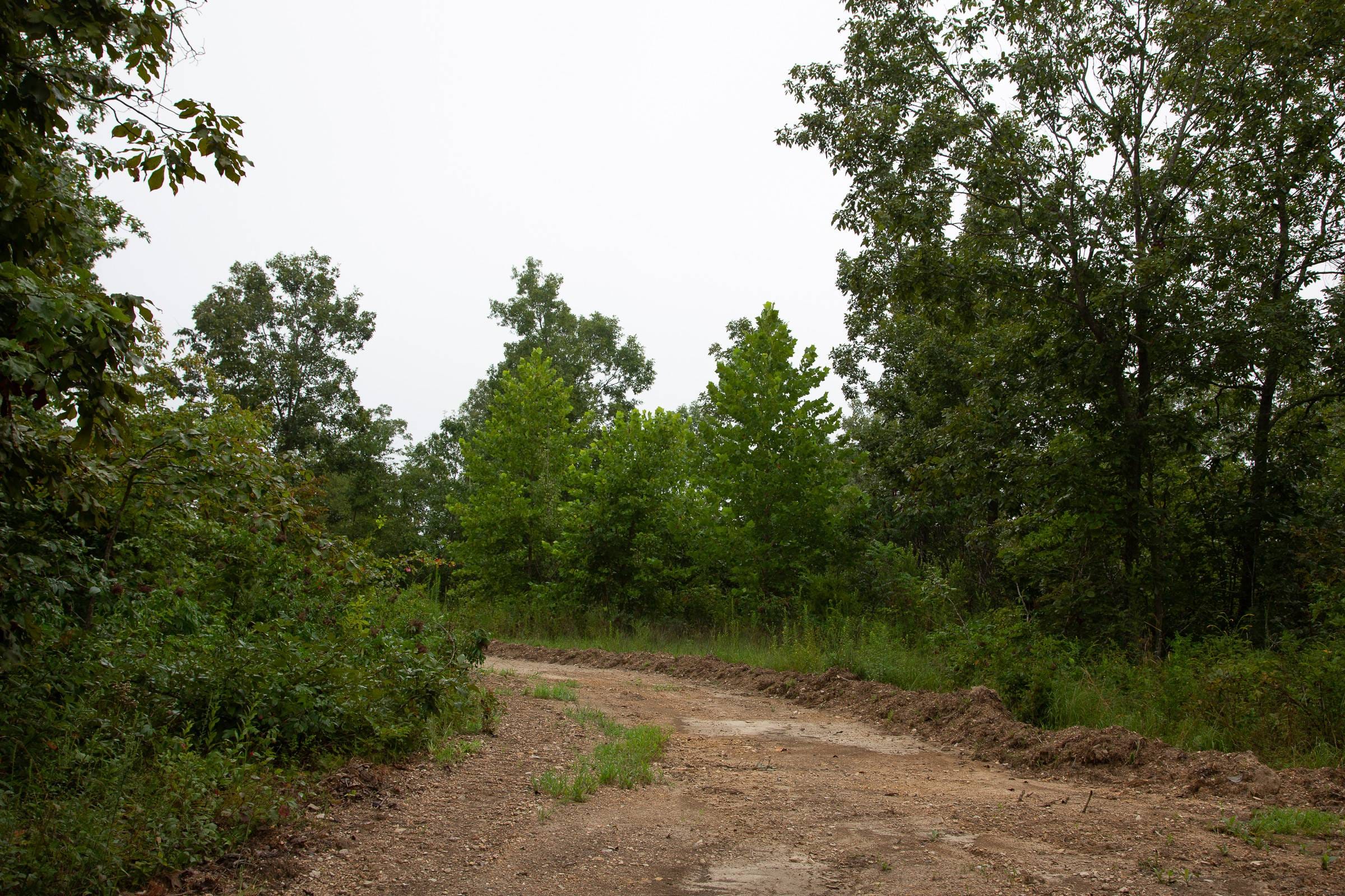 Borgmann’s Hollow Phase II Tract 38 photo 5