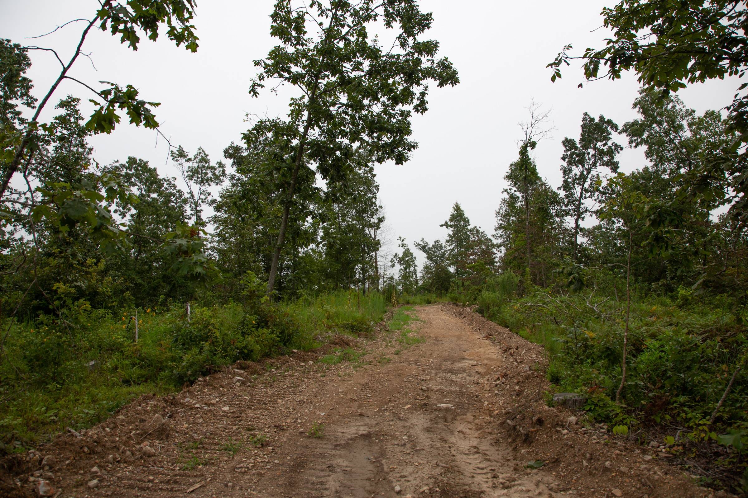Borgmann’s Hollow Phase II Tract 38 photo 1