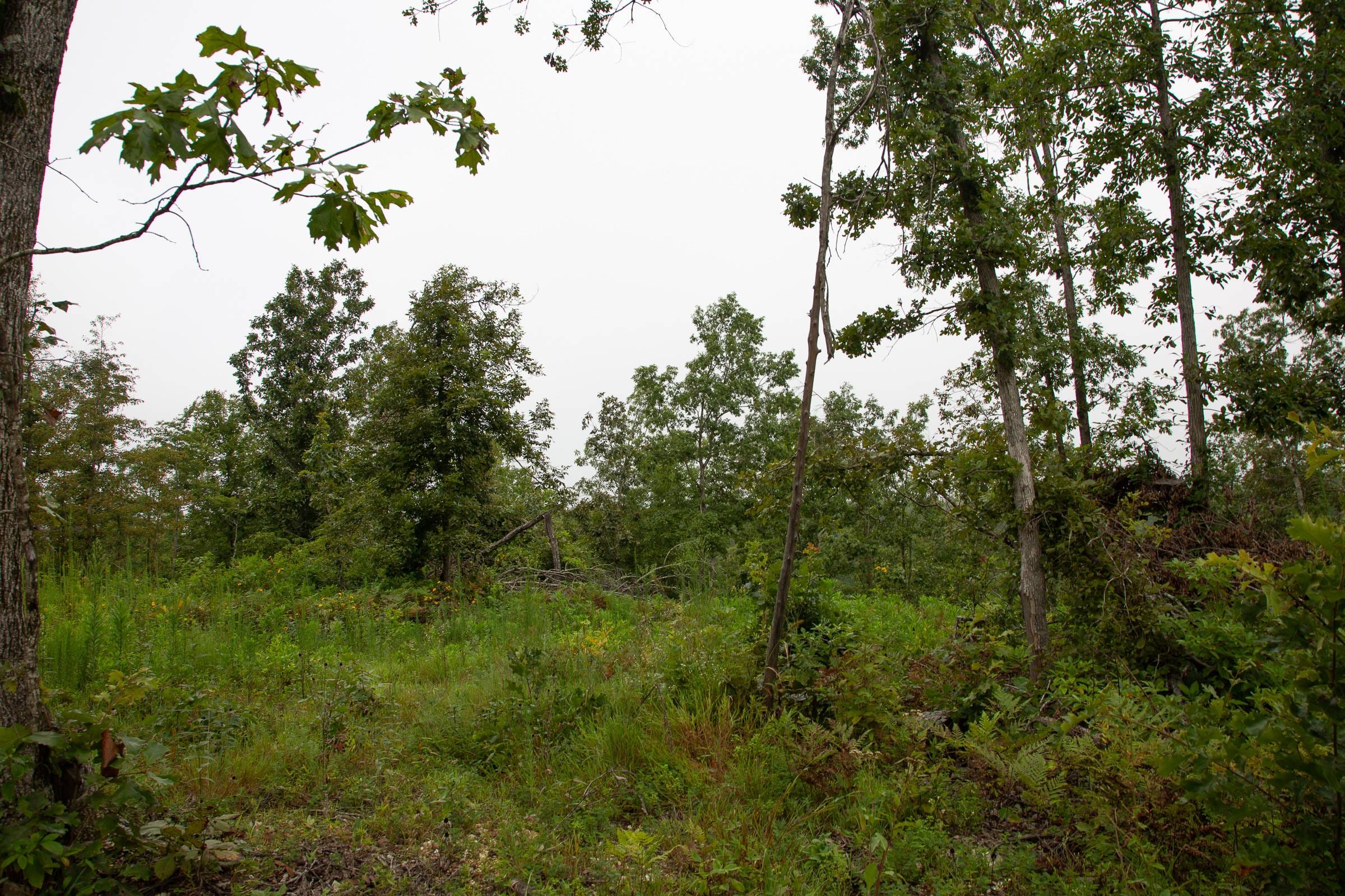 Borgmann’s Hollow Phase II Tract 38 photo 8