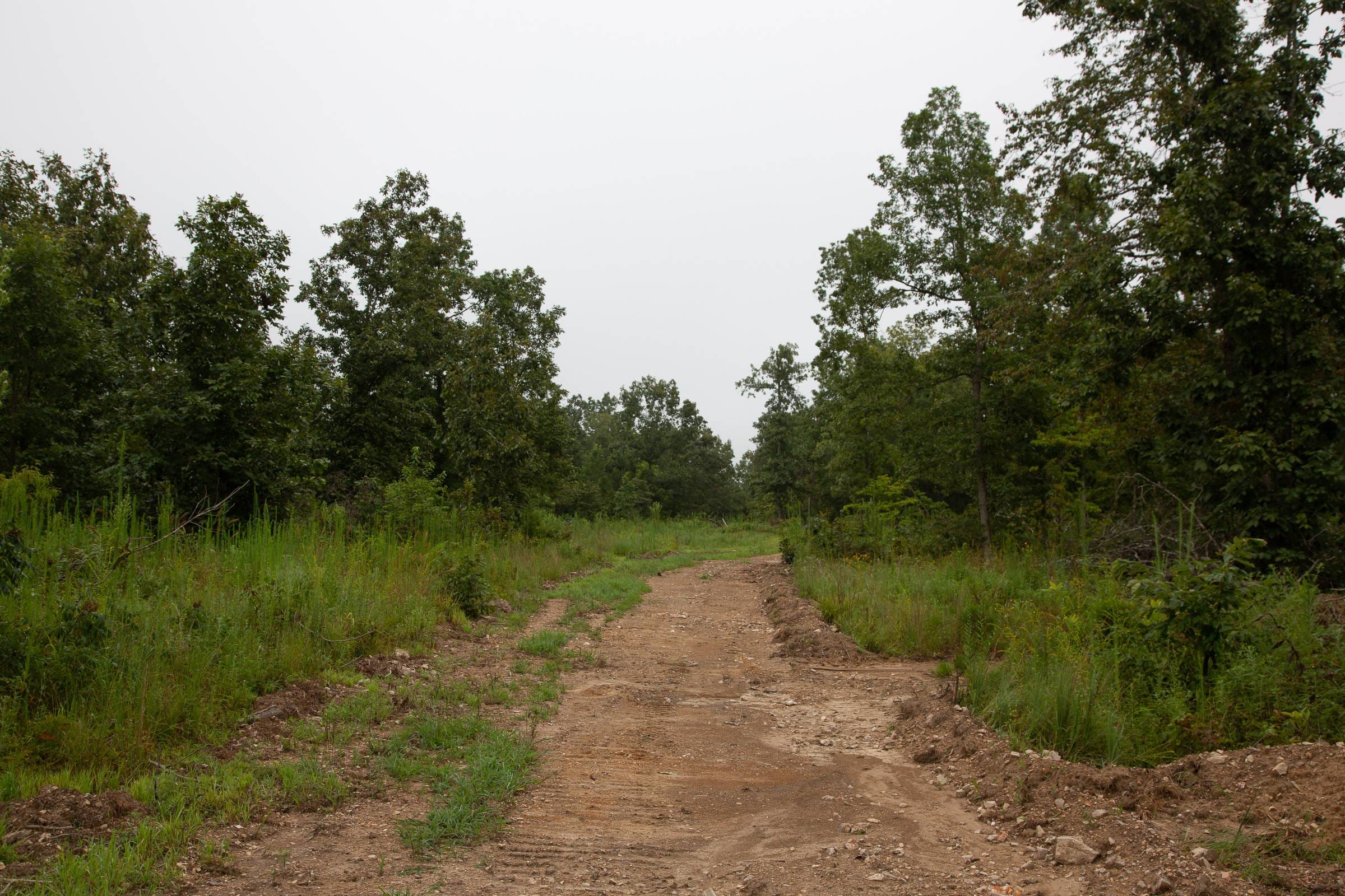 Borgmann’s Hollow Phase II Tract 38 photo 12
