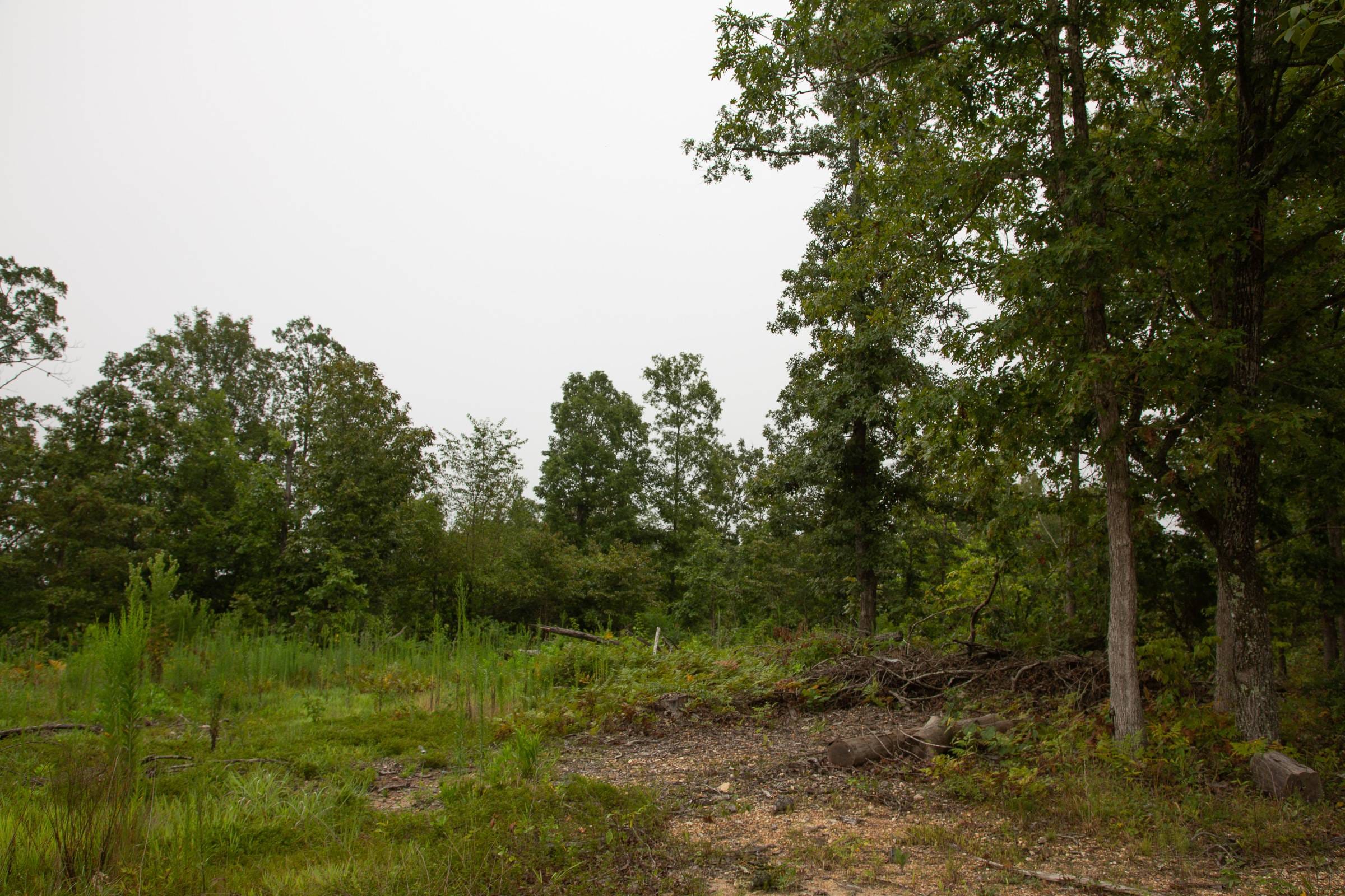 Borgmann’s Hollow Phase II Tract 38 photo 16