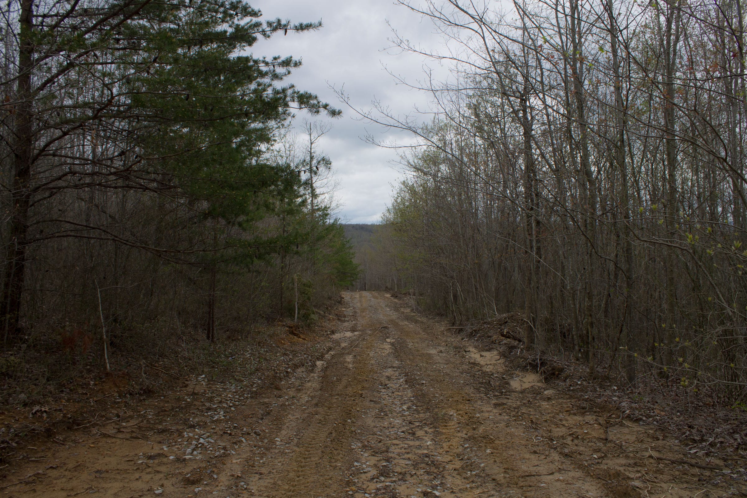 Hidden Hills Tract 38 photo 1