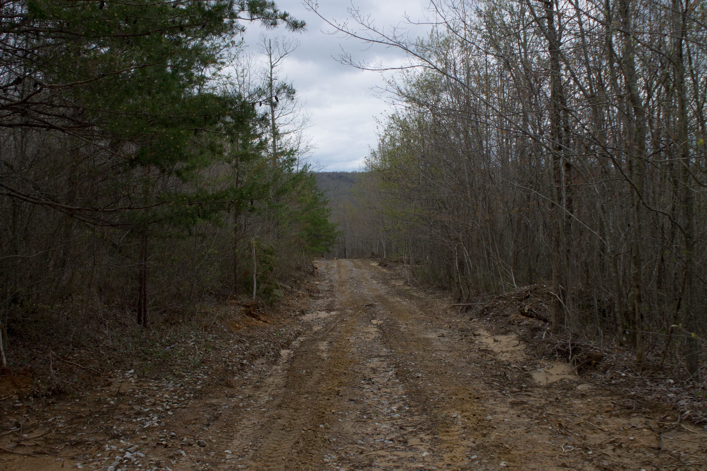 Hidden Hills Tract 38 photo 2