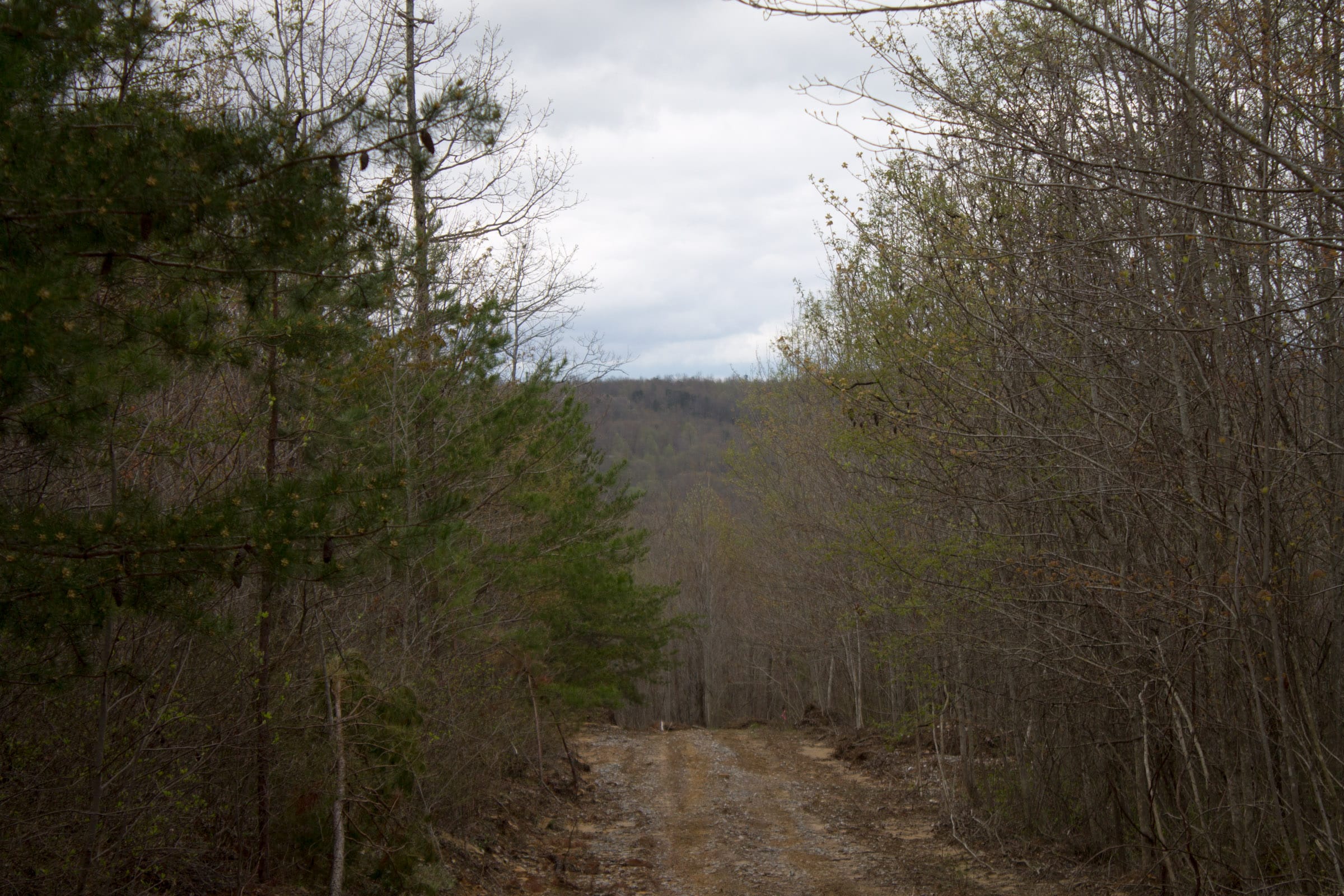 Hidden Hills Tract 38 photo 3