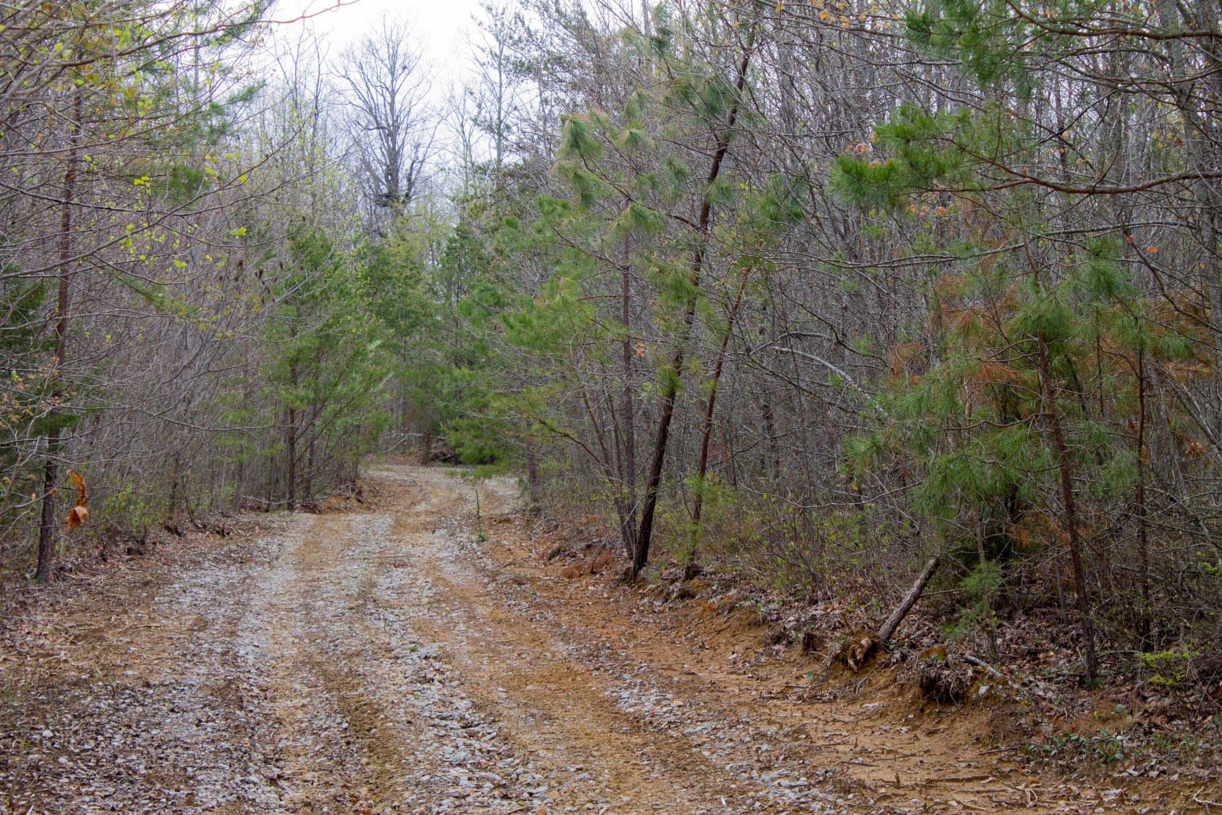 Hidden Hills Tract 38 photo 4