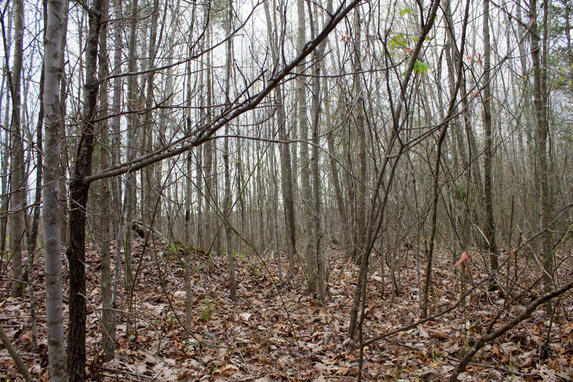 Hidden Hills Tract 38 photo 6