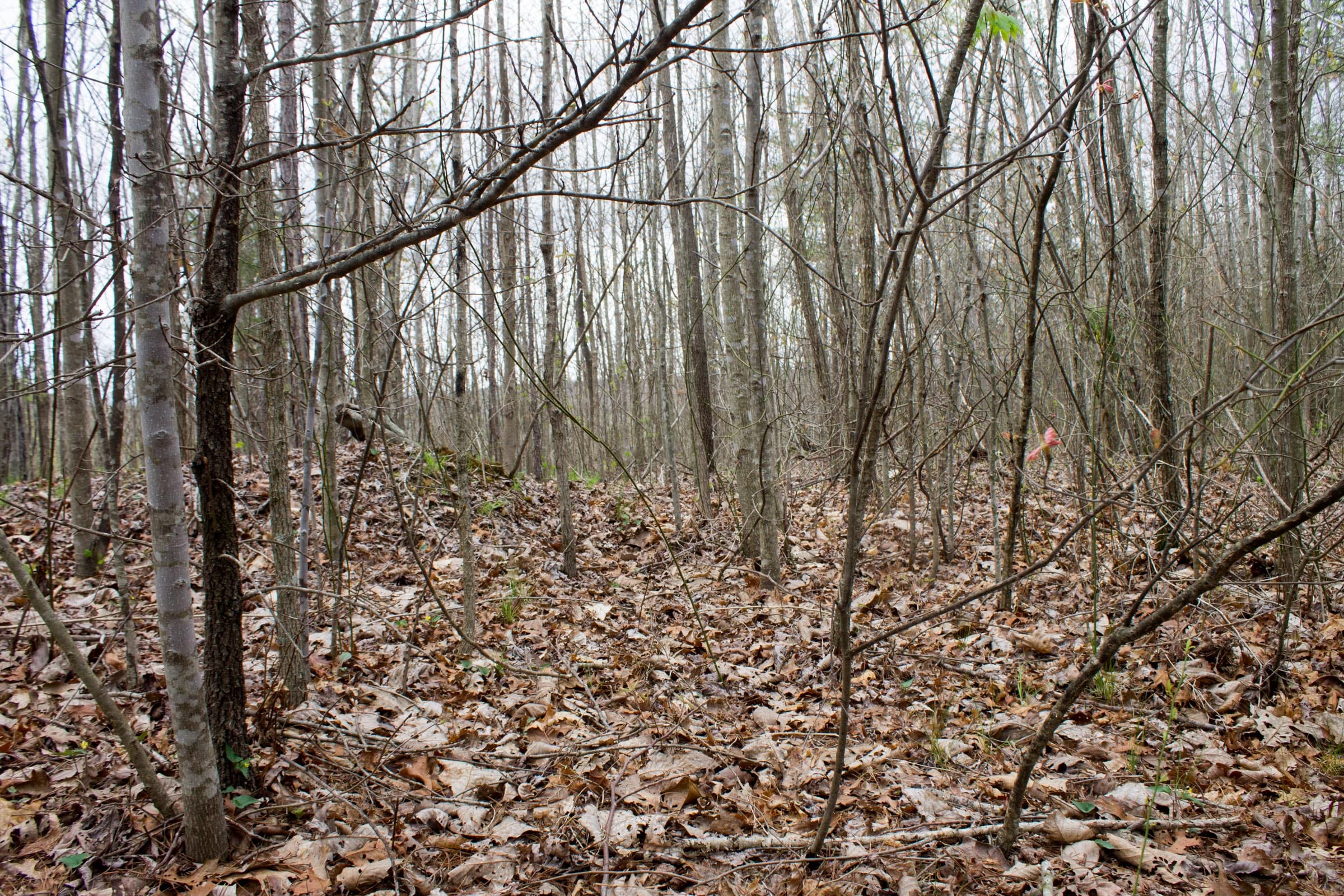 Hidden Hills Tract 38 photo 7