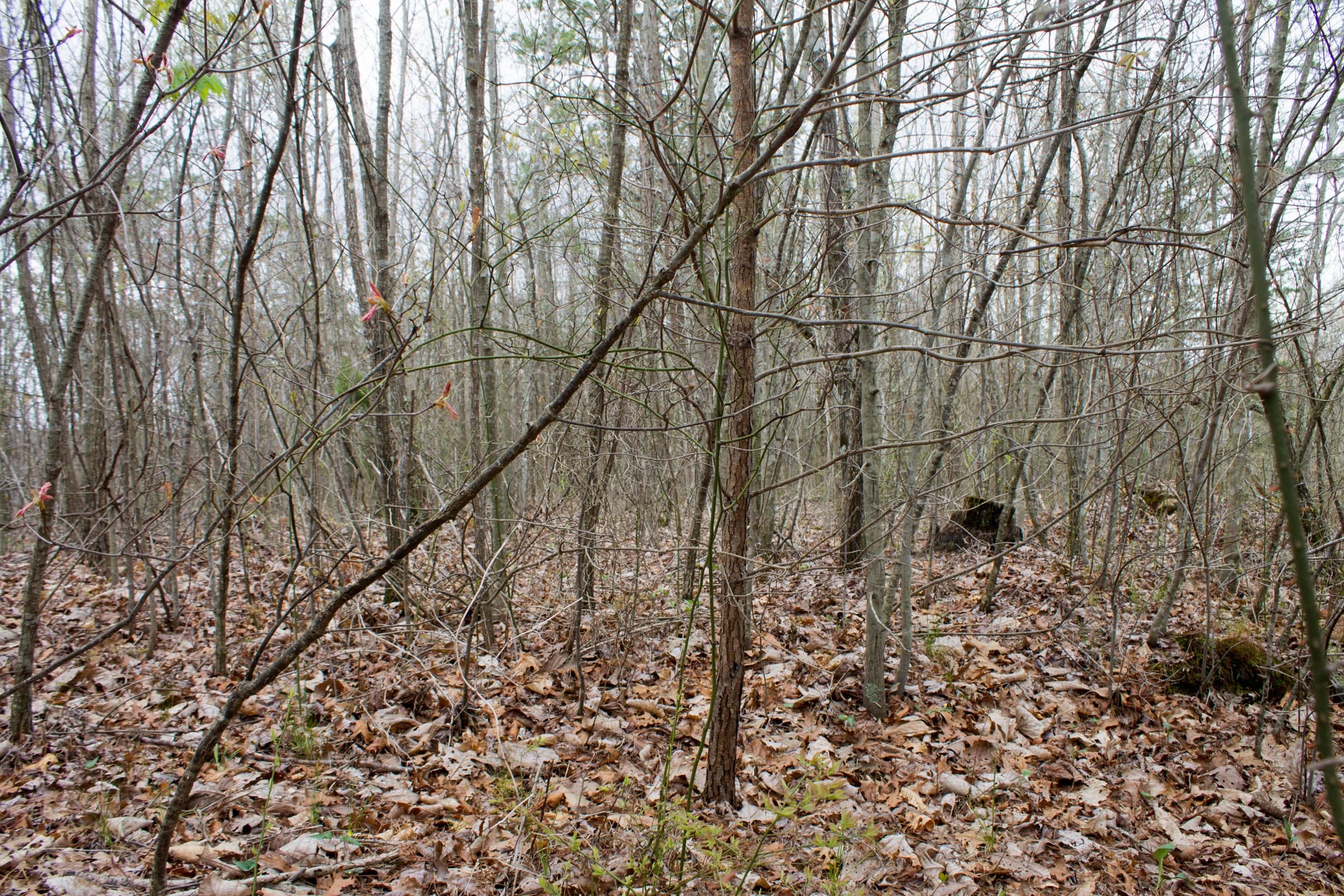 Hidden Hills Tract 38 photo 8