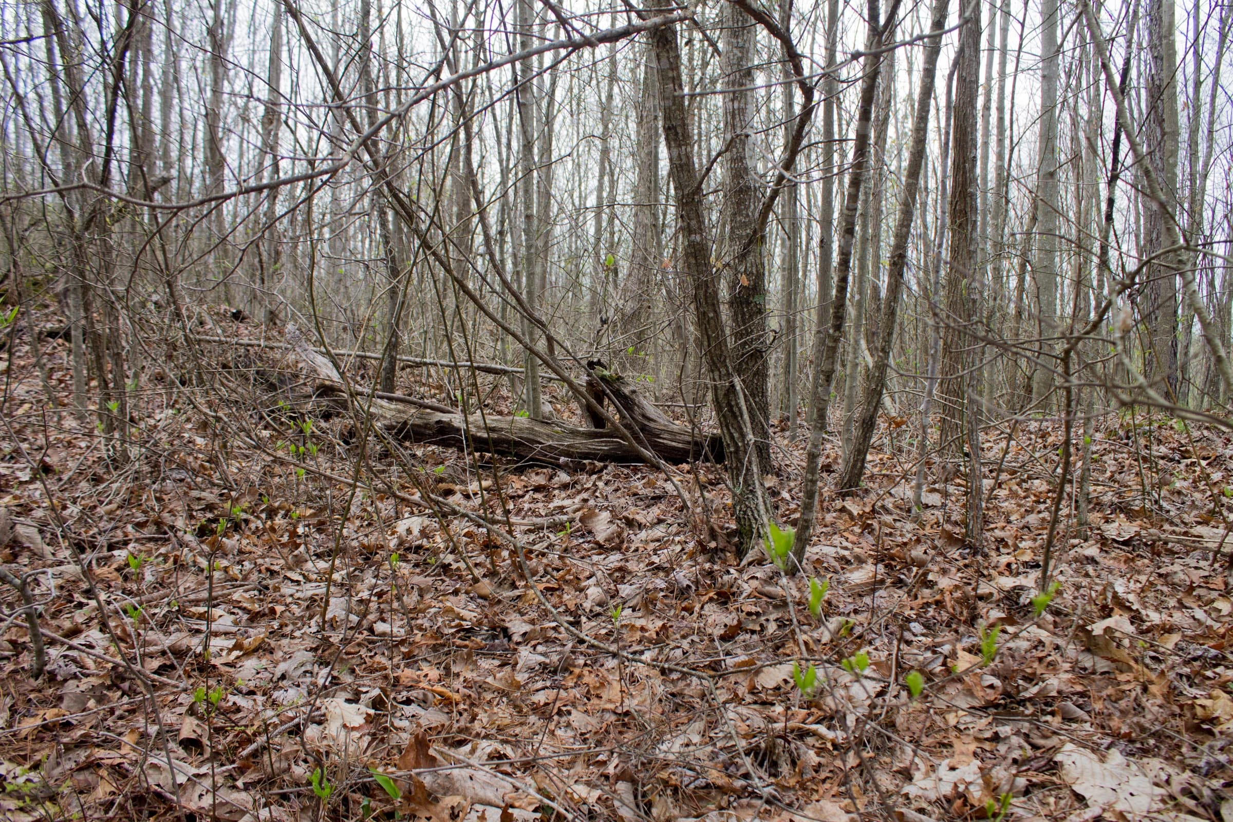 Hidden Hills Tract 38 photo 9