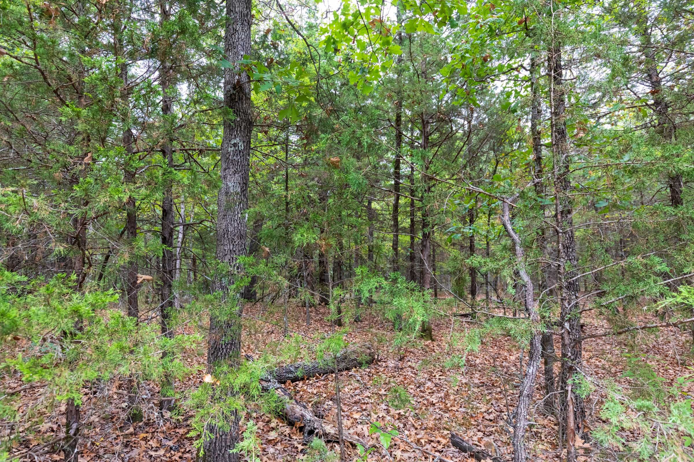 Heritage Bend Tract 23 photo 3