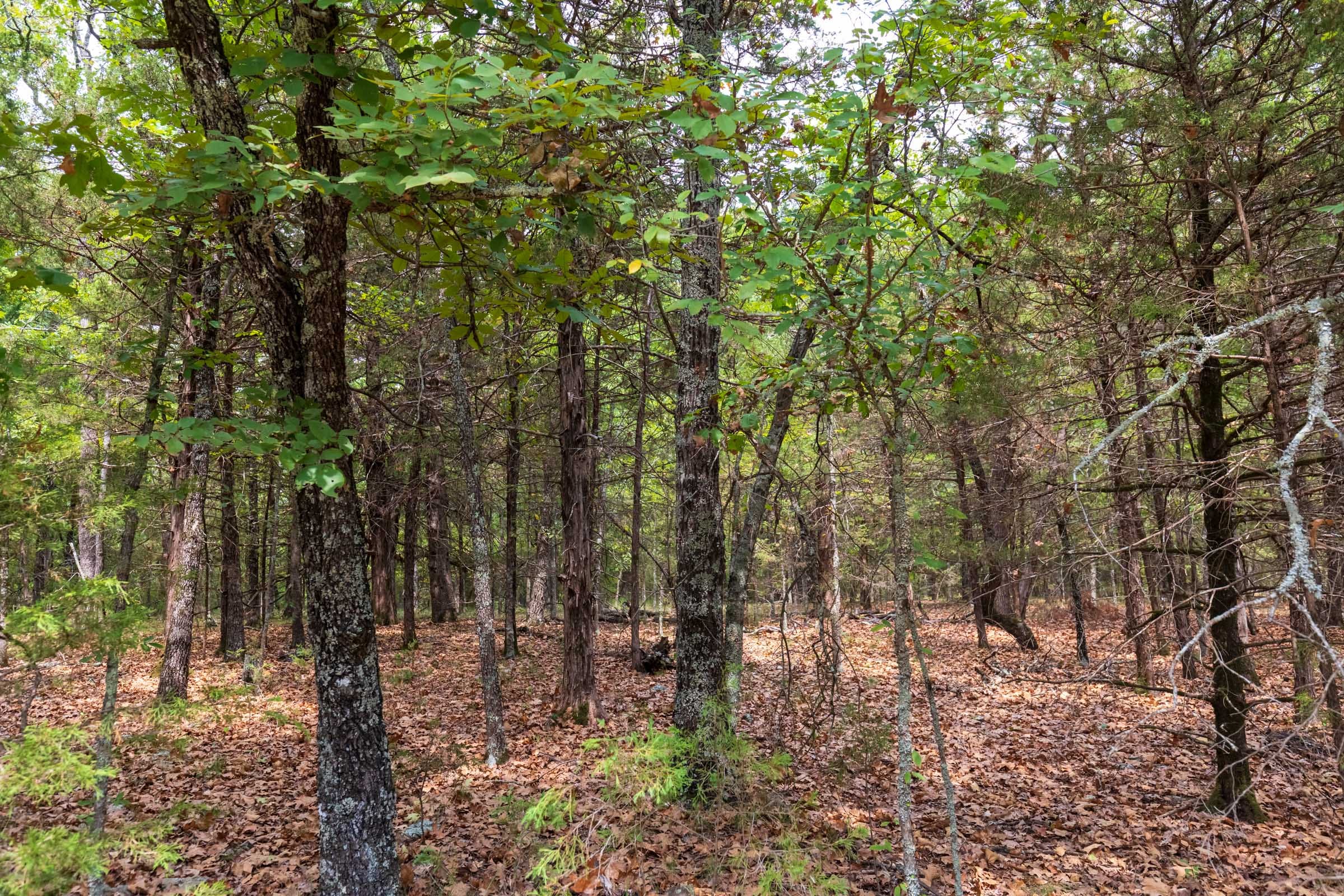 Heritage Bend Tract 23 photo 4