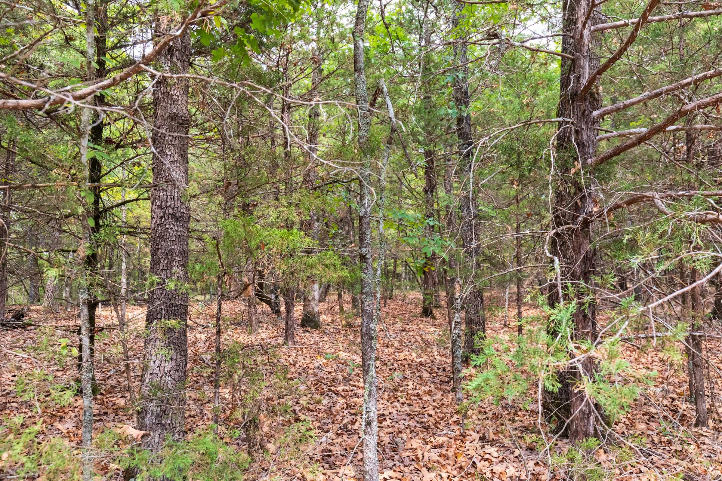 Heritage Bend Tract 23 photo 5