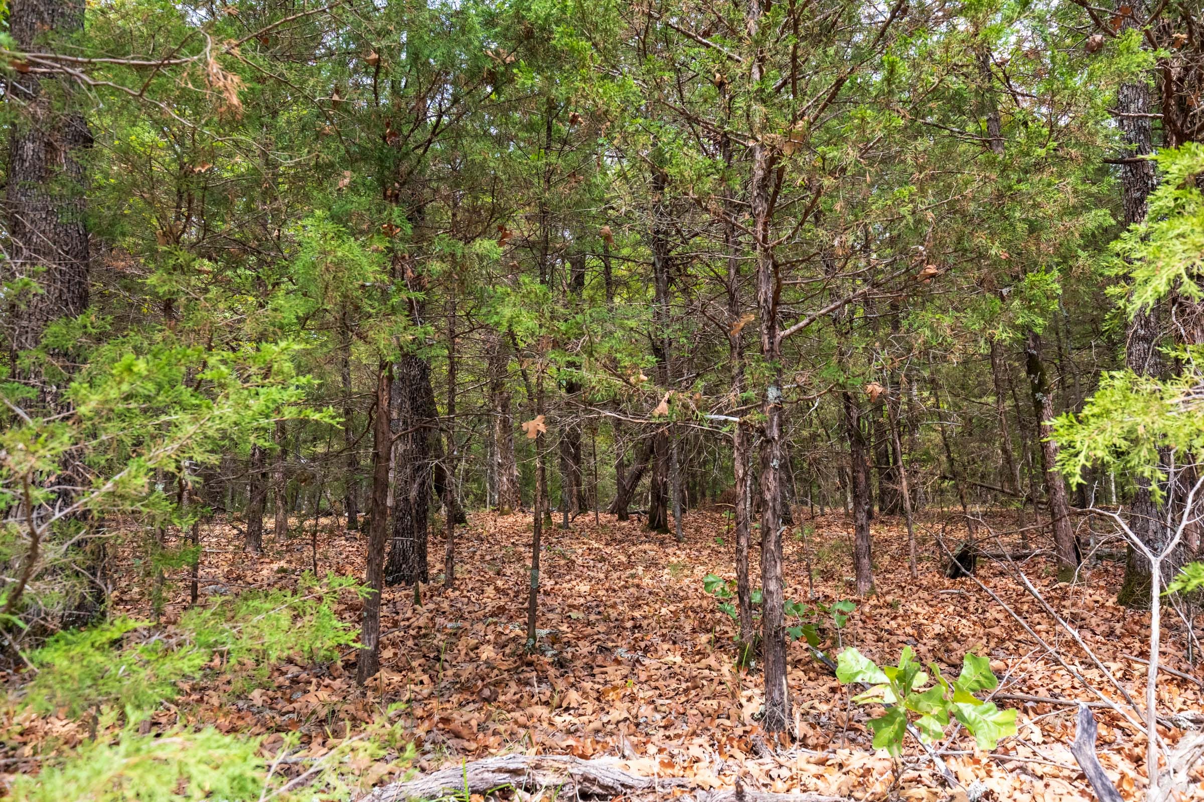Heritage Bend Tract 23 photo 6