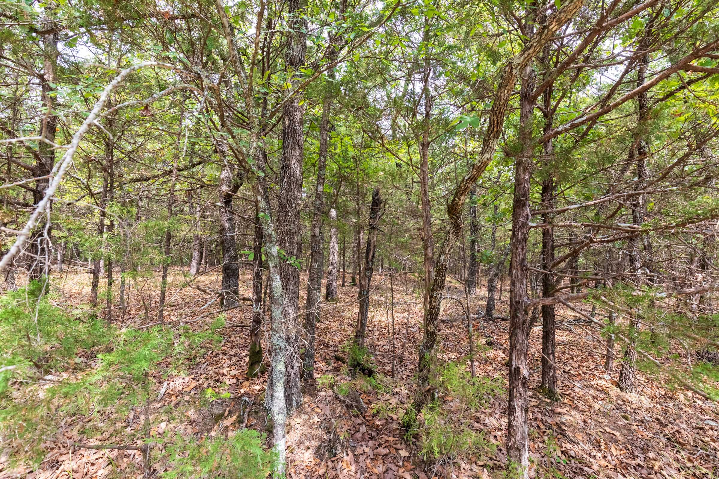 Heritage Bend Tract 23 photo 7