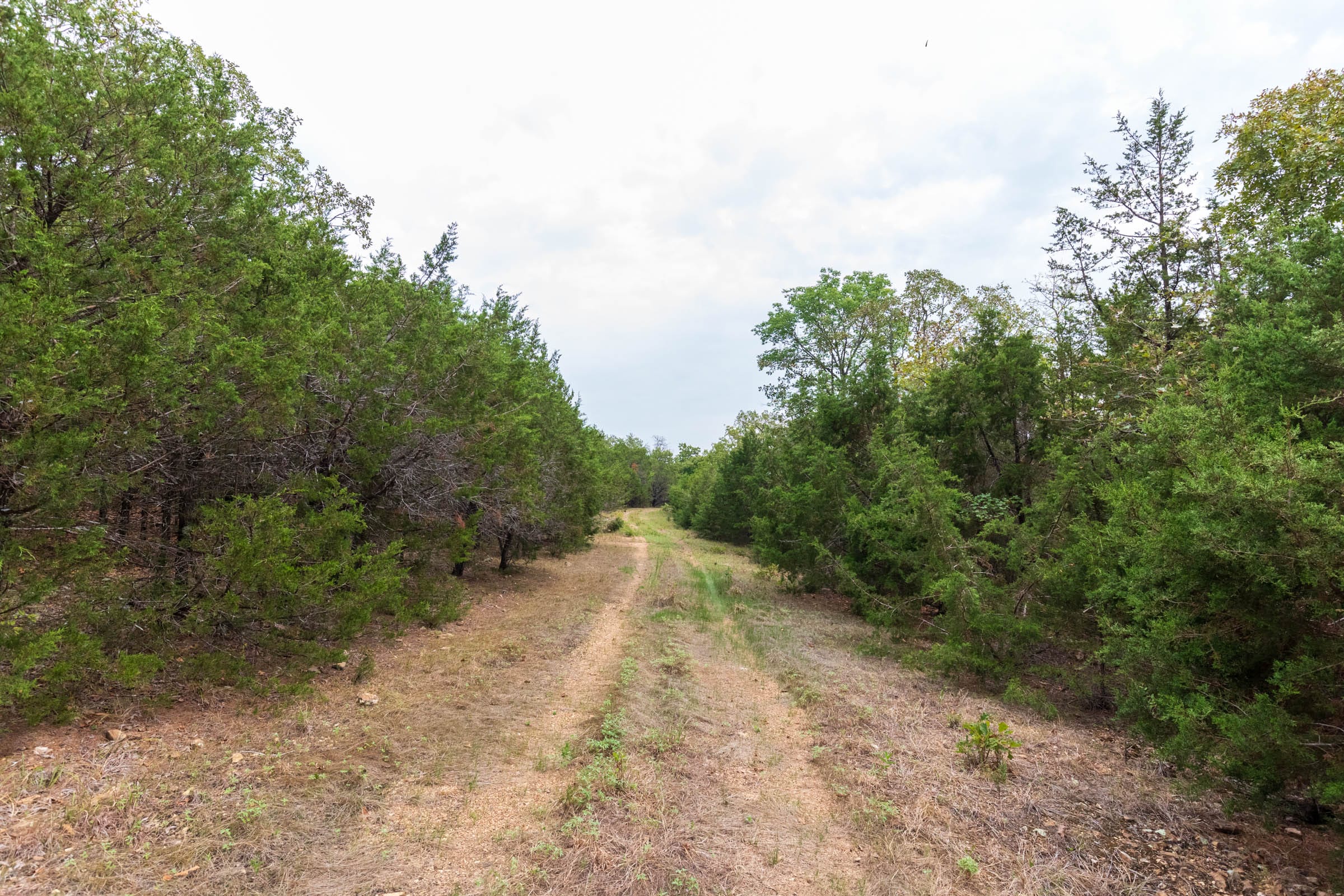 Heritage Bend Tract 23 photo 2
