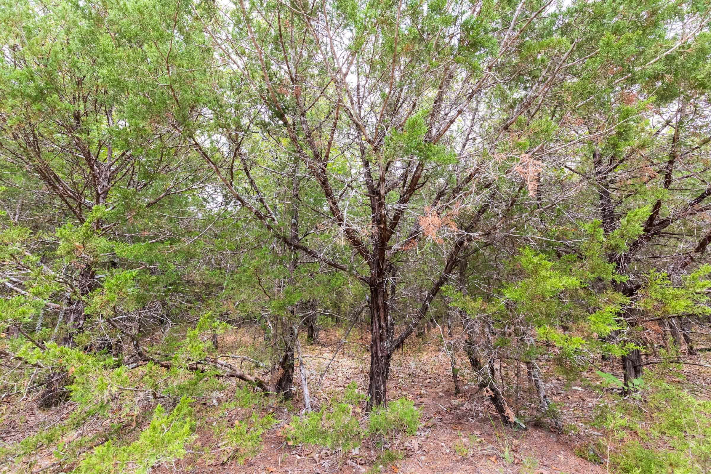 Heritage Bend Tract 23 photo 8