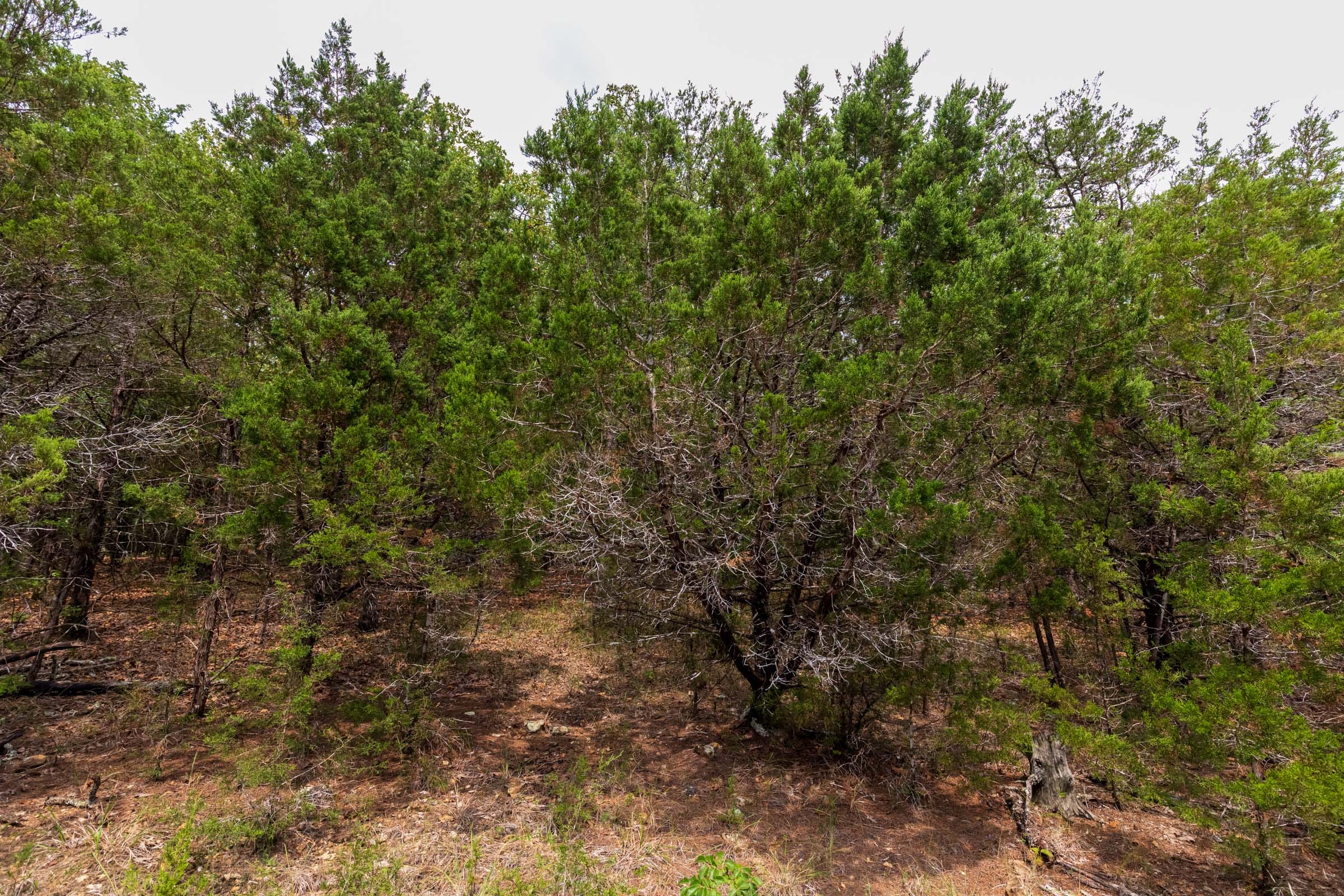 Heritage Bend Tract 23 photo 10