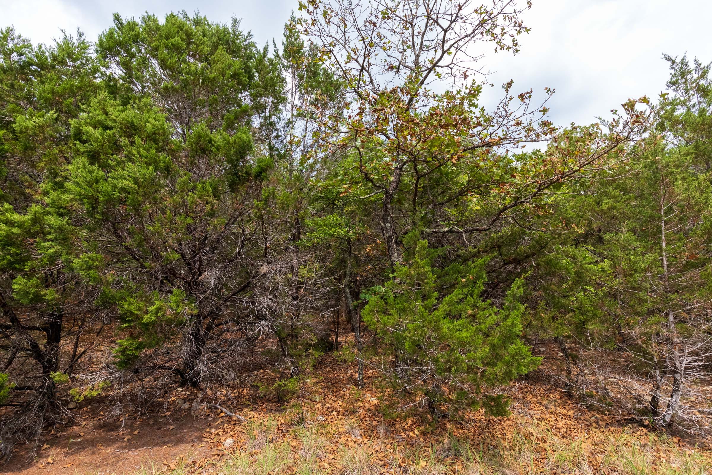 Heritage Bend Tract 23 photo 11