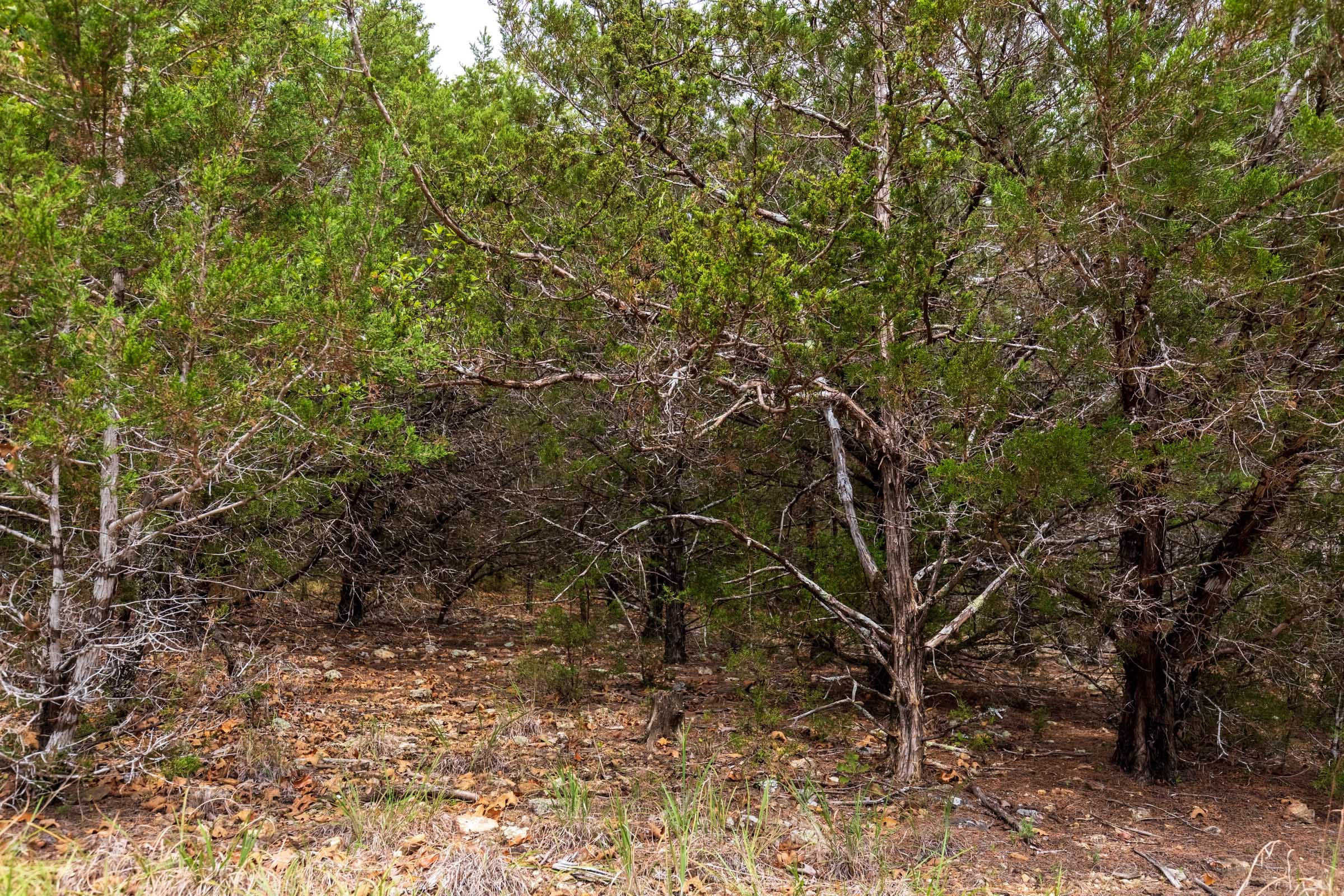 Heritage Bend Tract 23 photo 12