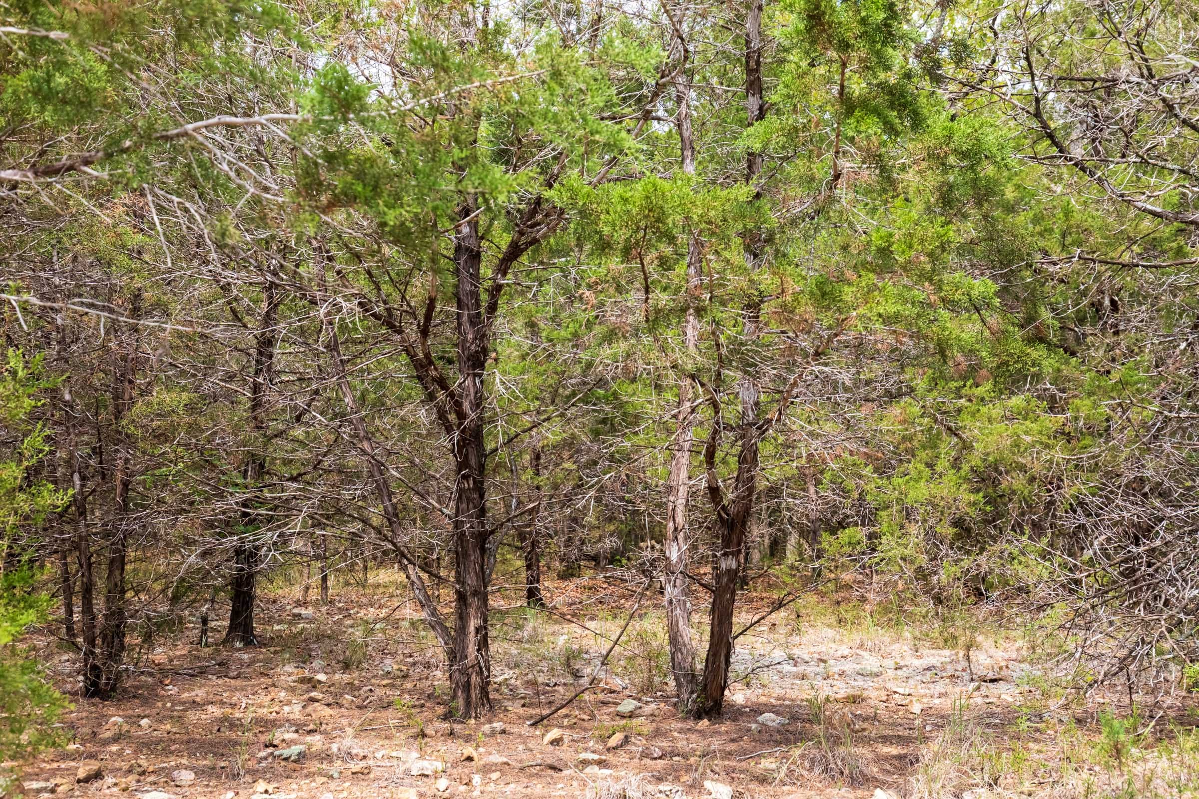 Heritage Bend Tract 23 photo 13
