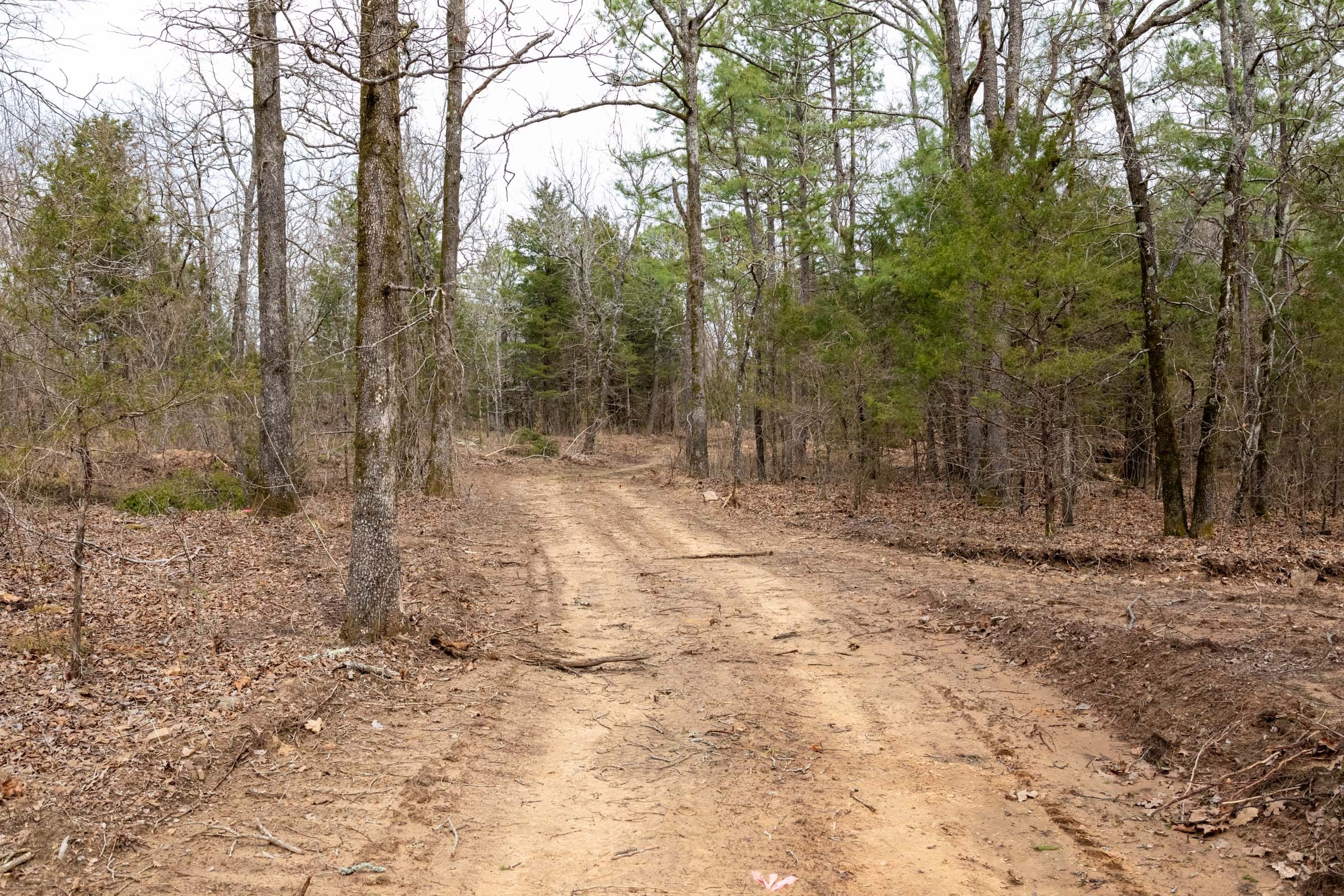 Stone Bridge Phase III Tract 169 photo 2