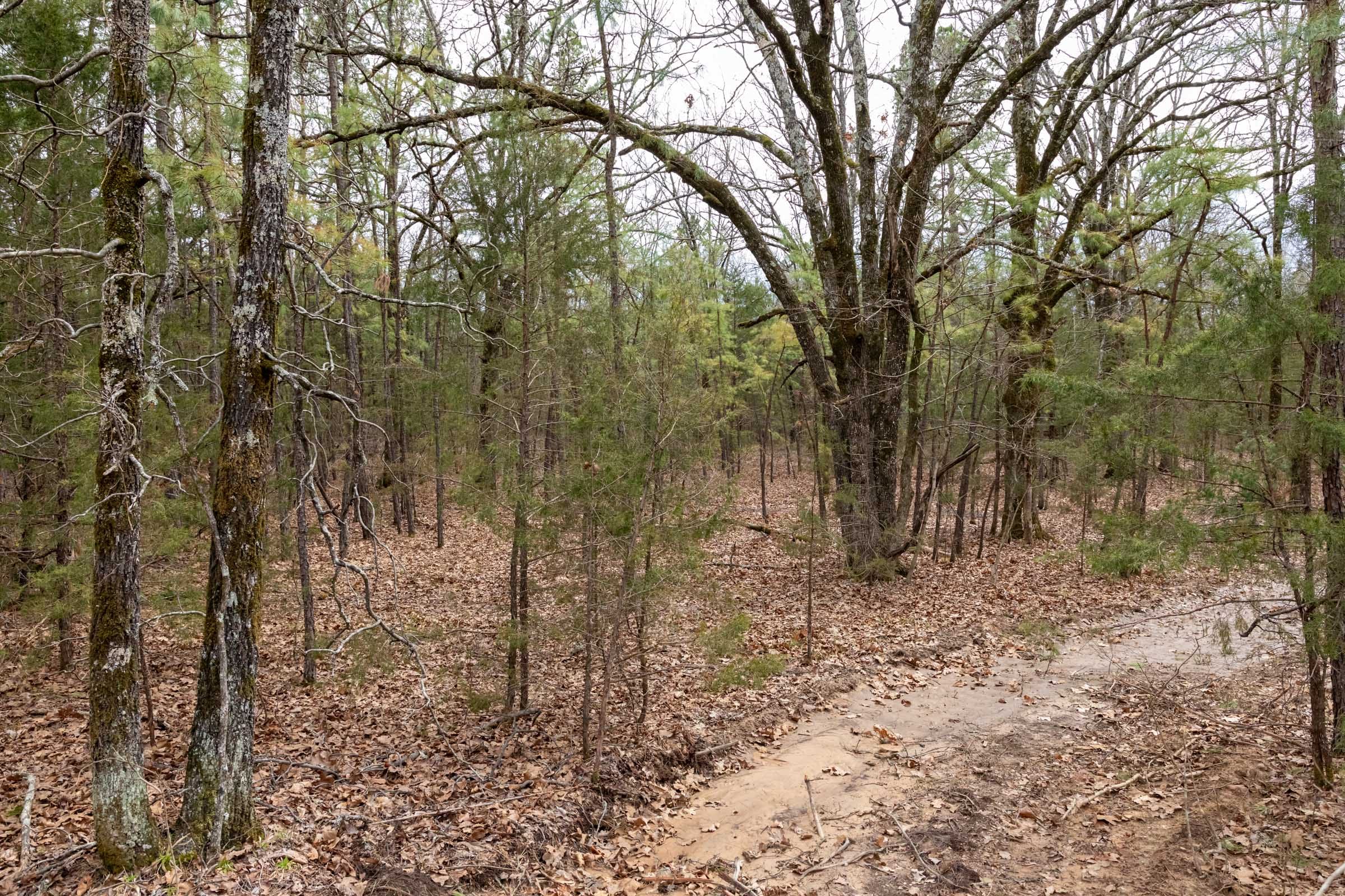 Stone Bridge Phase III Tract 169 photo 4