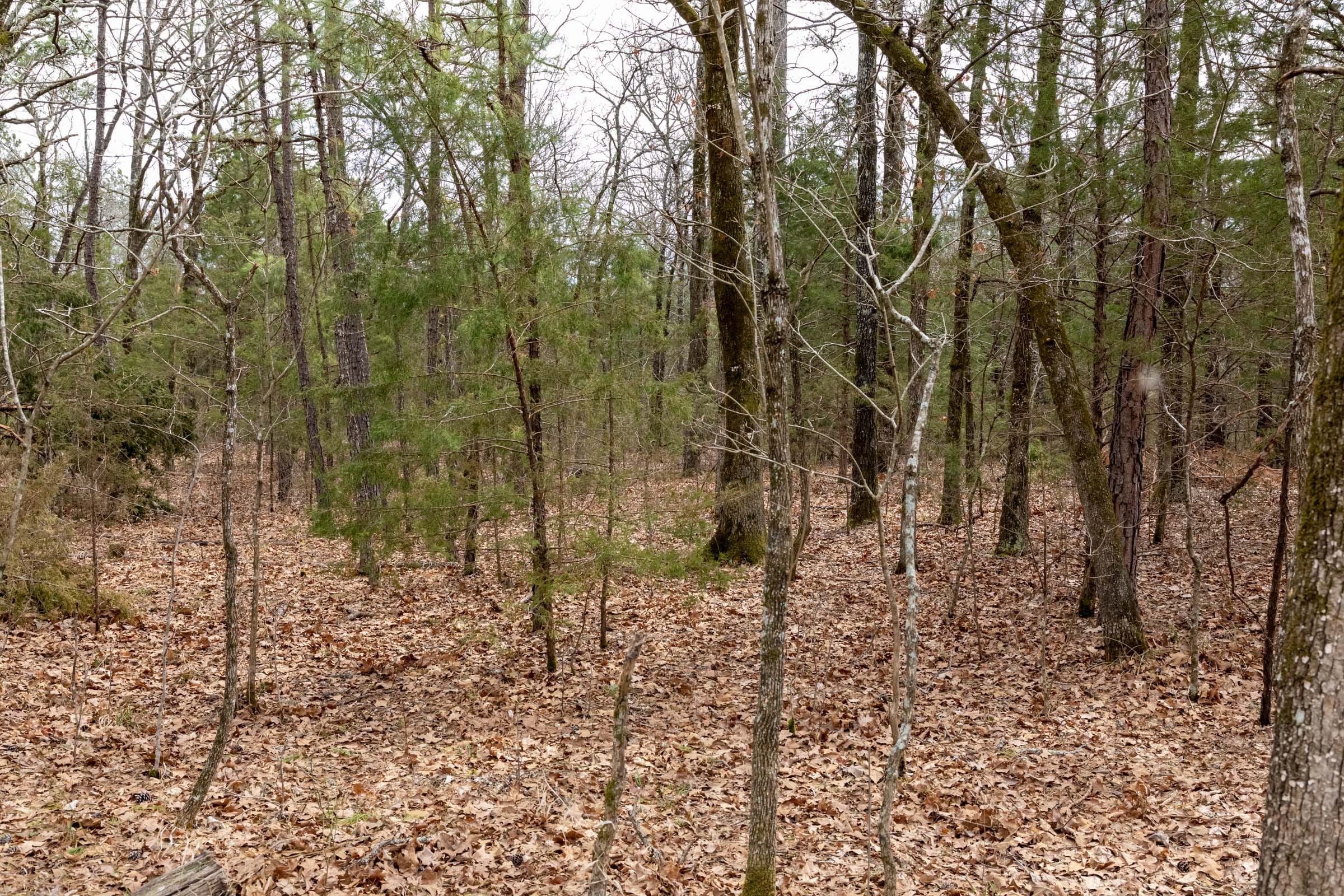 Stone Bridge Phase III Tract 169 photo 6