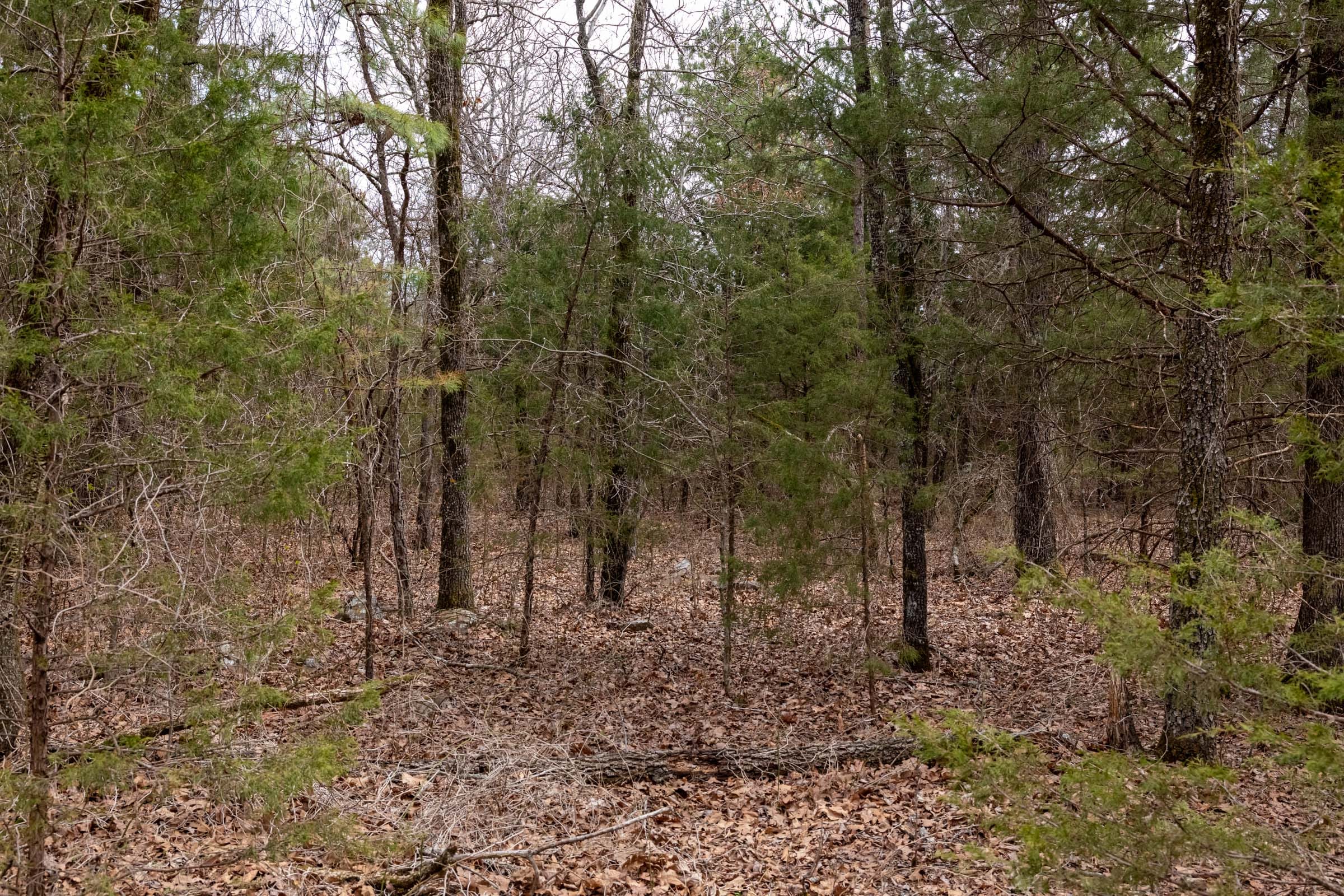Stone Bridge Phase III Tract 169 photo 10