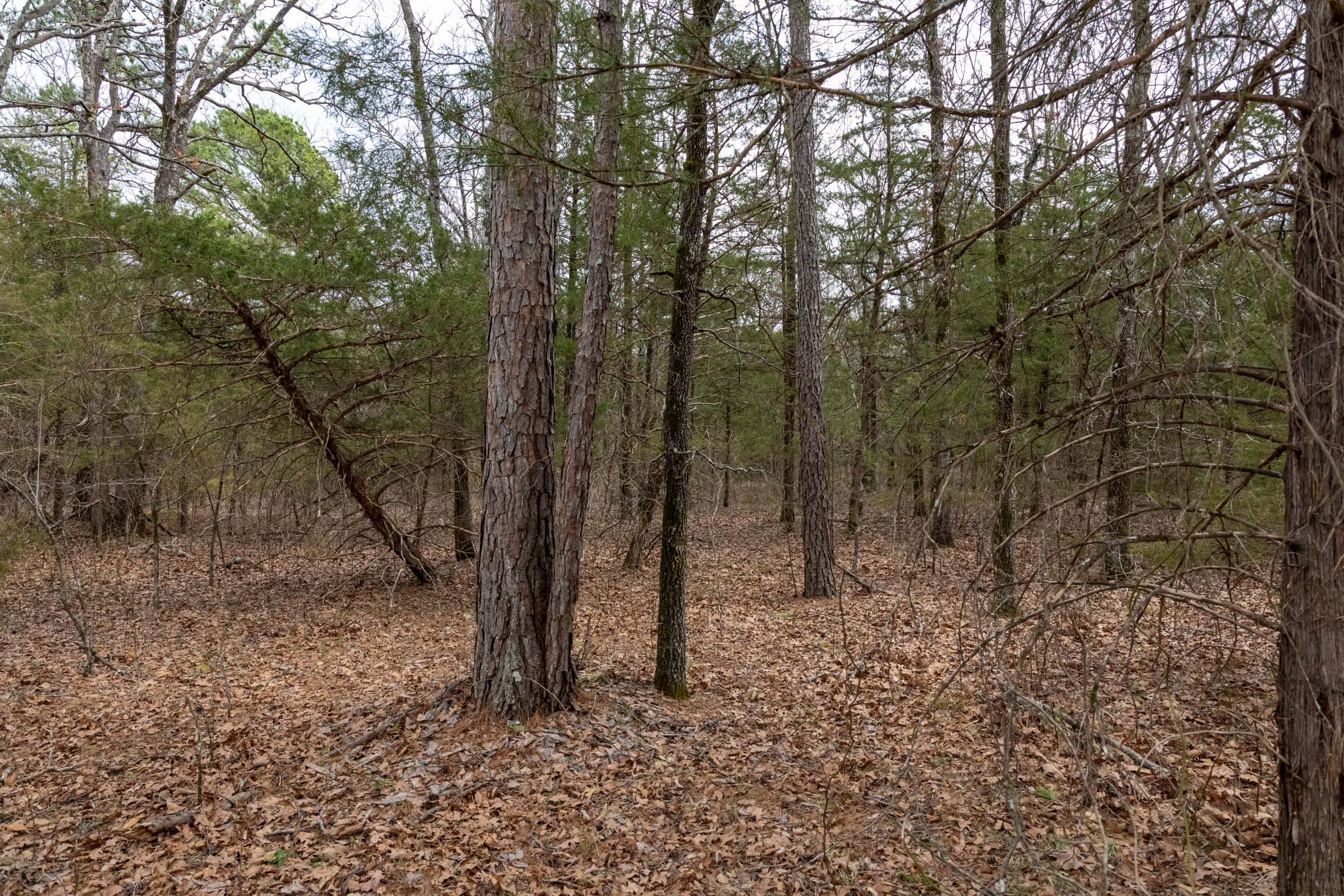Stone Bridge Phase III Tract 169 photo 12