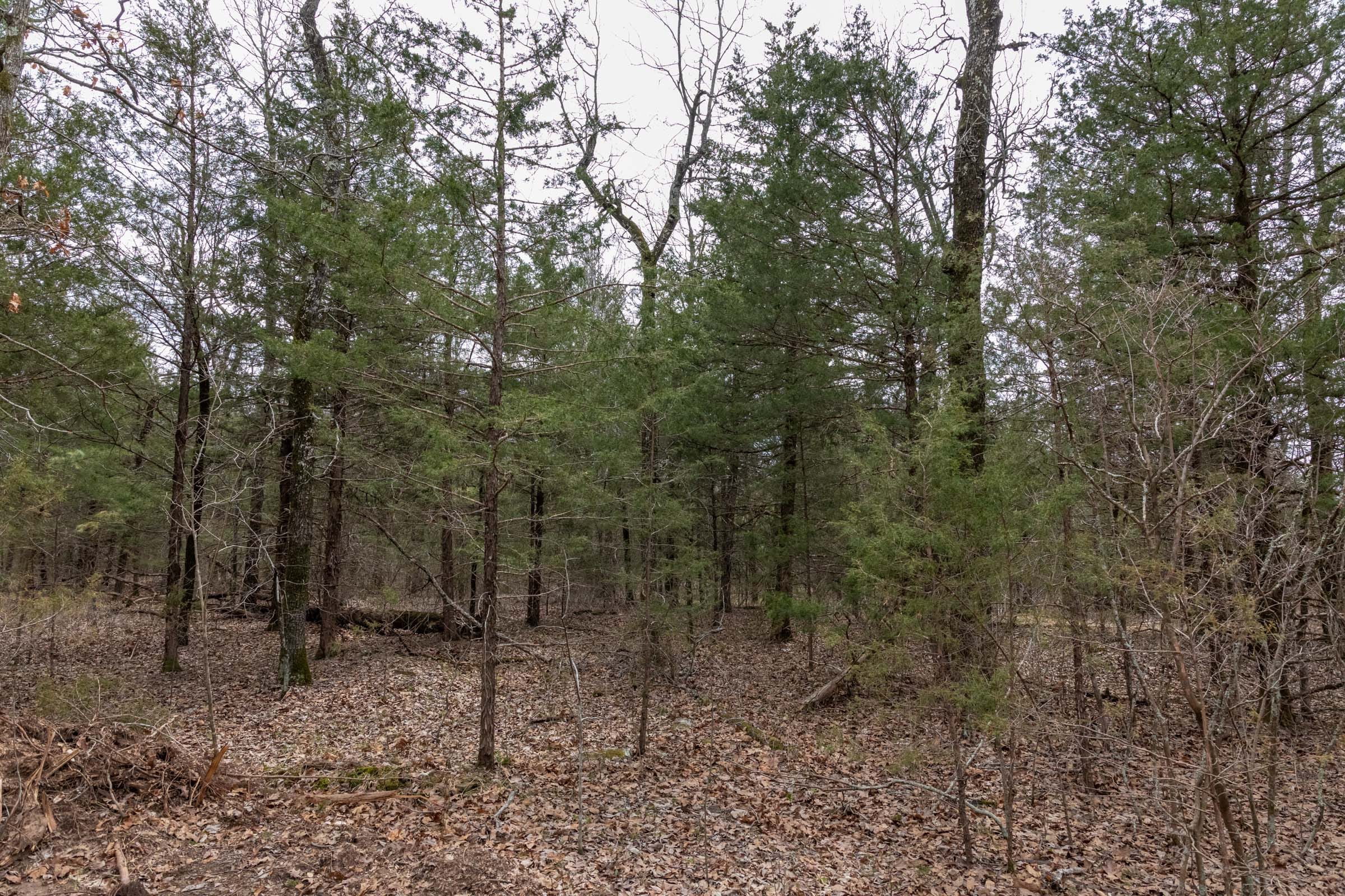 Stone Bridge Phase III Tract 169 photo 13