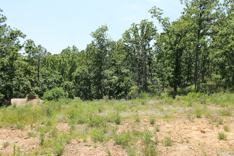 Indian Ridge – Phase II Tract 81 photo 1