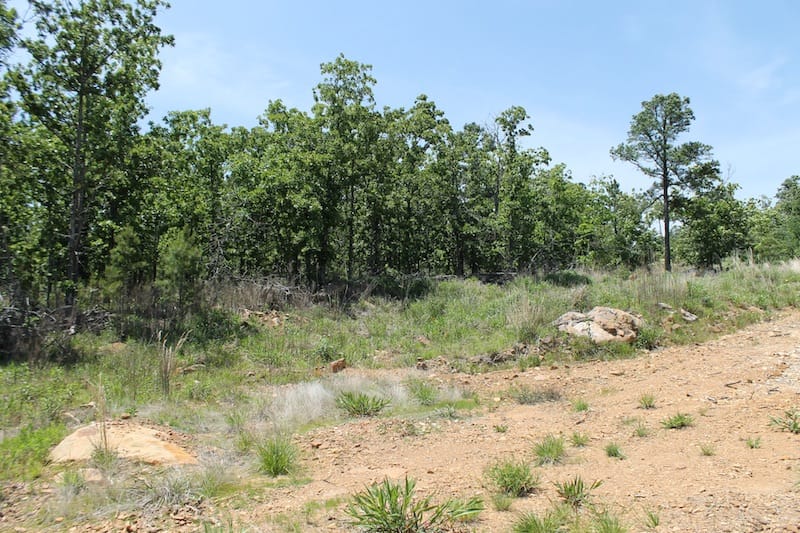 Indian Ridge – Phase II Tract 81 photo 2