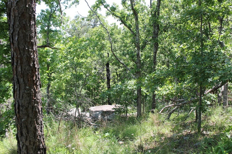 Indian Ridge – Phase II Tract 81 photo 3
