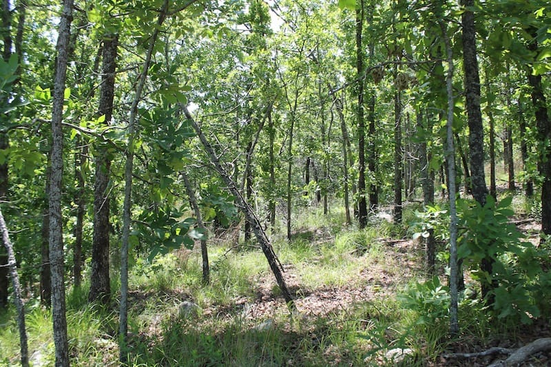 Indian Ridge – Phase II Tract 81 photo 4