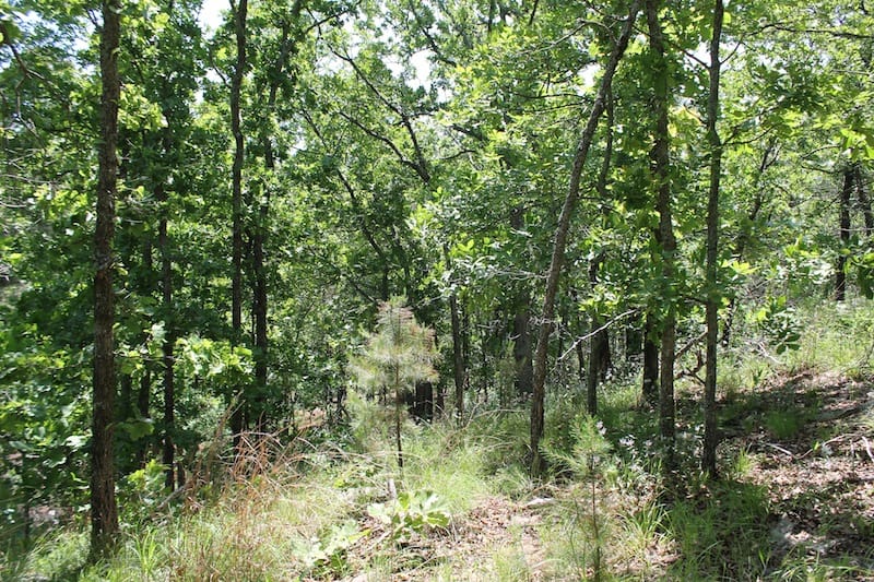 Indian Ridge – Phase II Tract 81 photo 7
