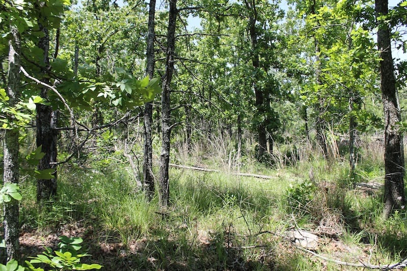 Indian Ridge – Phase II Tract 81 photo 8