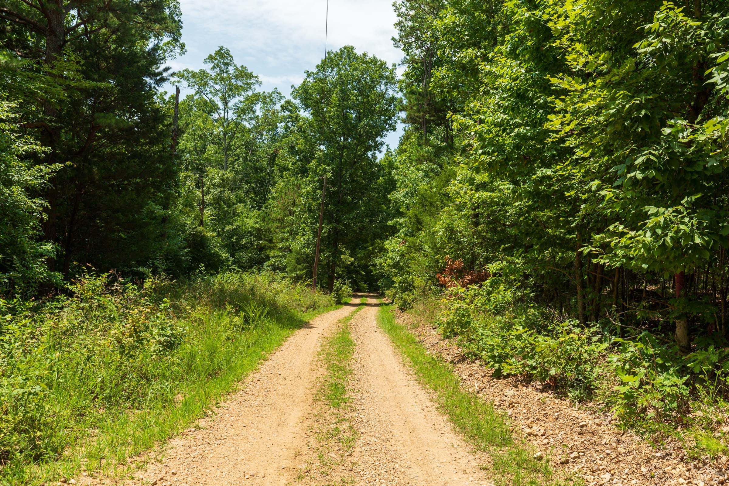Cypress Ridge Tract 4 photo 8
