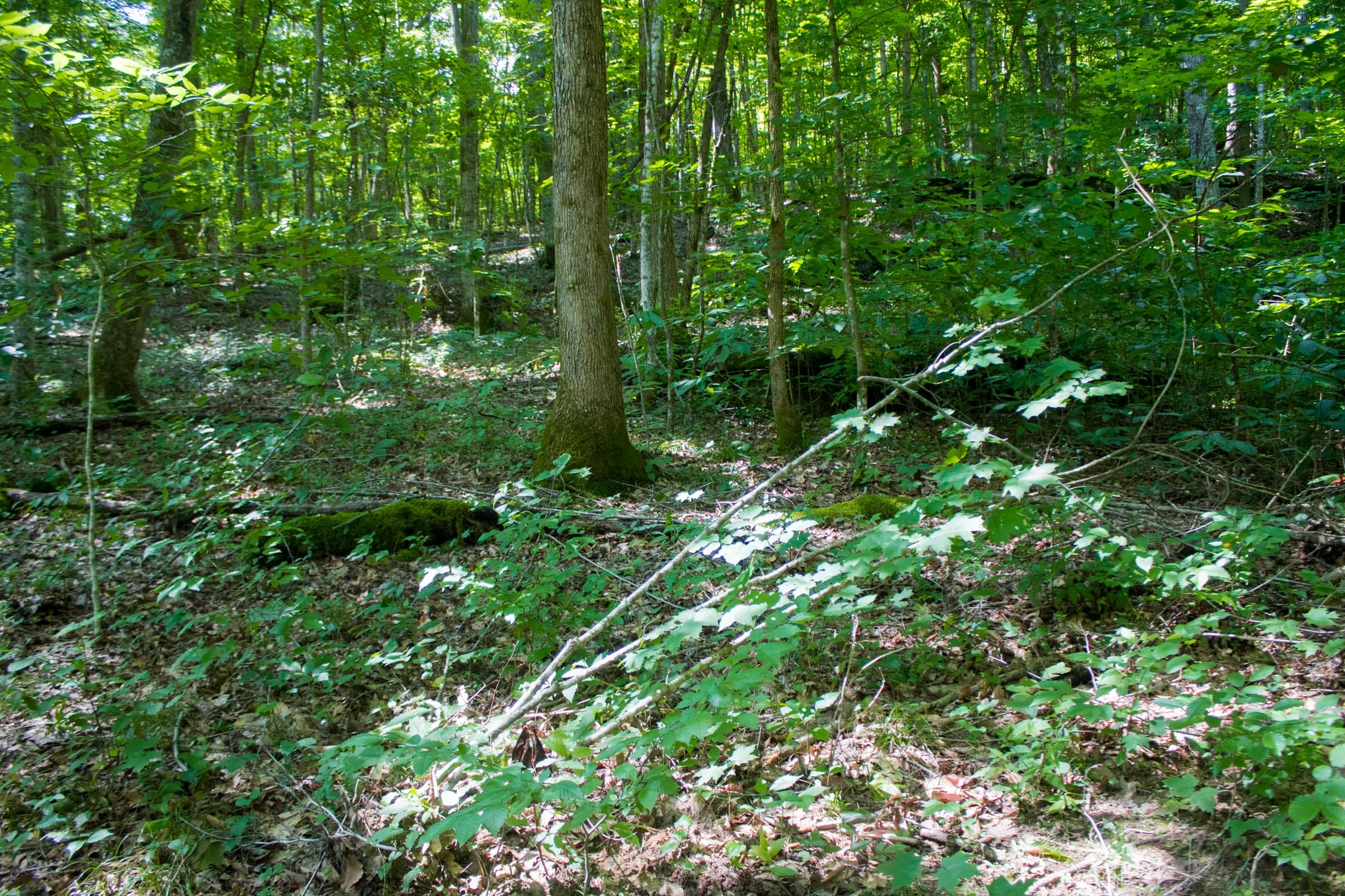 Bluewater Ridge Tract 8 photo 1