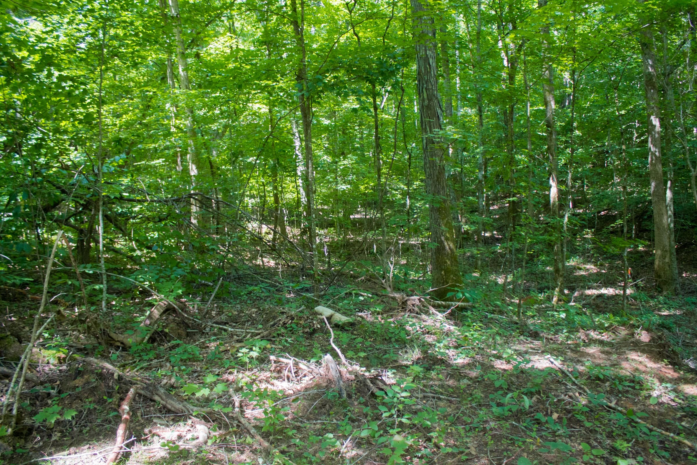 Bluewater Ridge Tract 8 photo 2