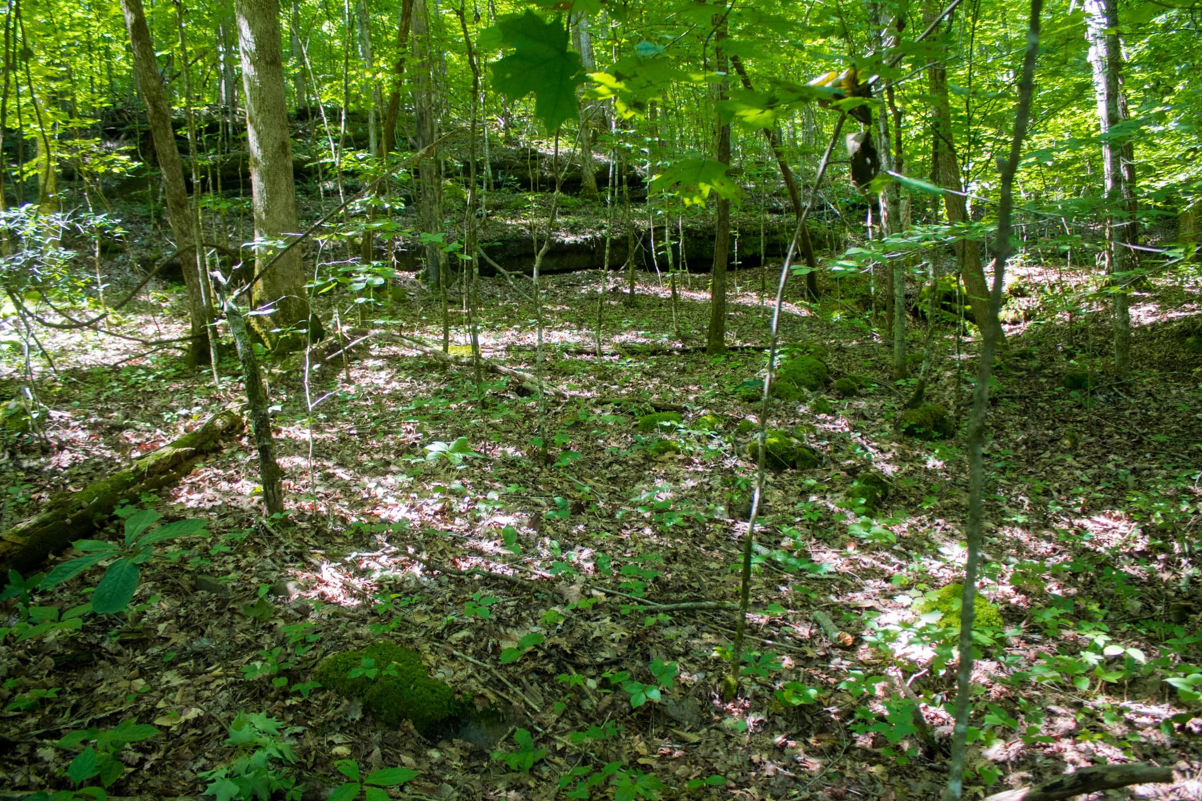 Bluewater Ridge Tract 8 photo 3